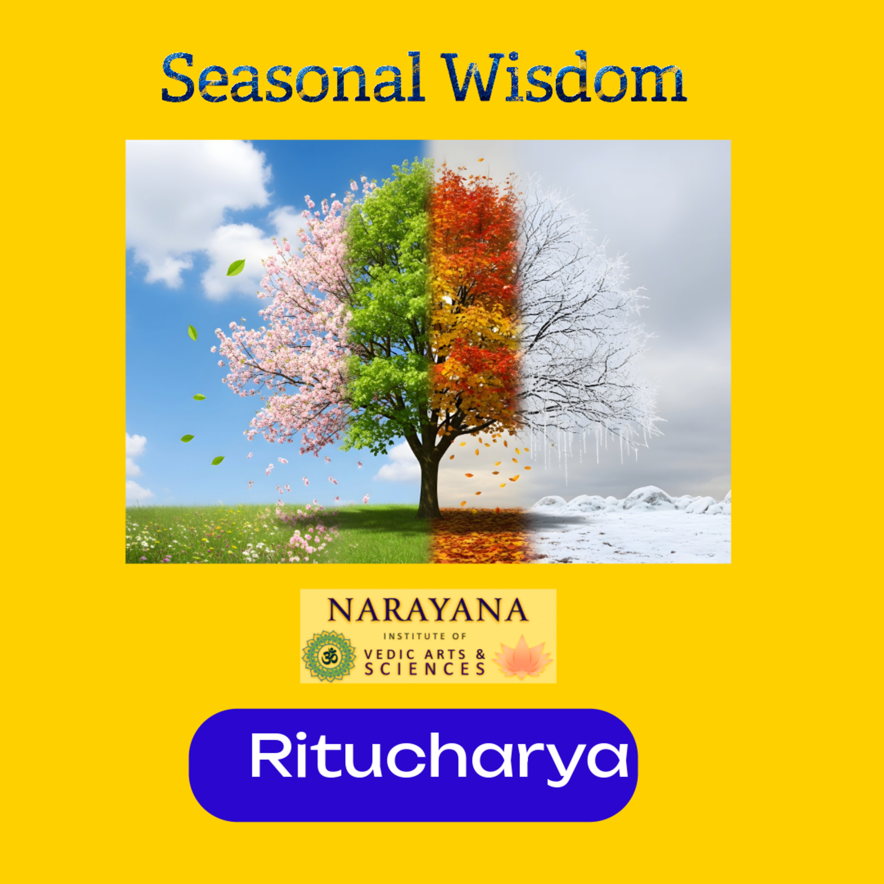 Seasonal Wisdom-Ritucharya episode artwork