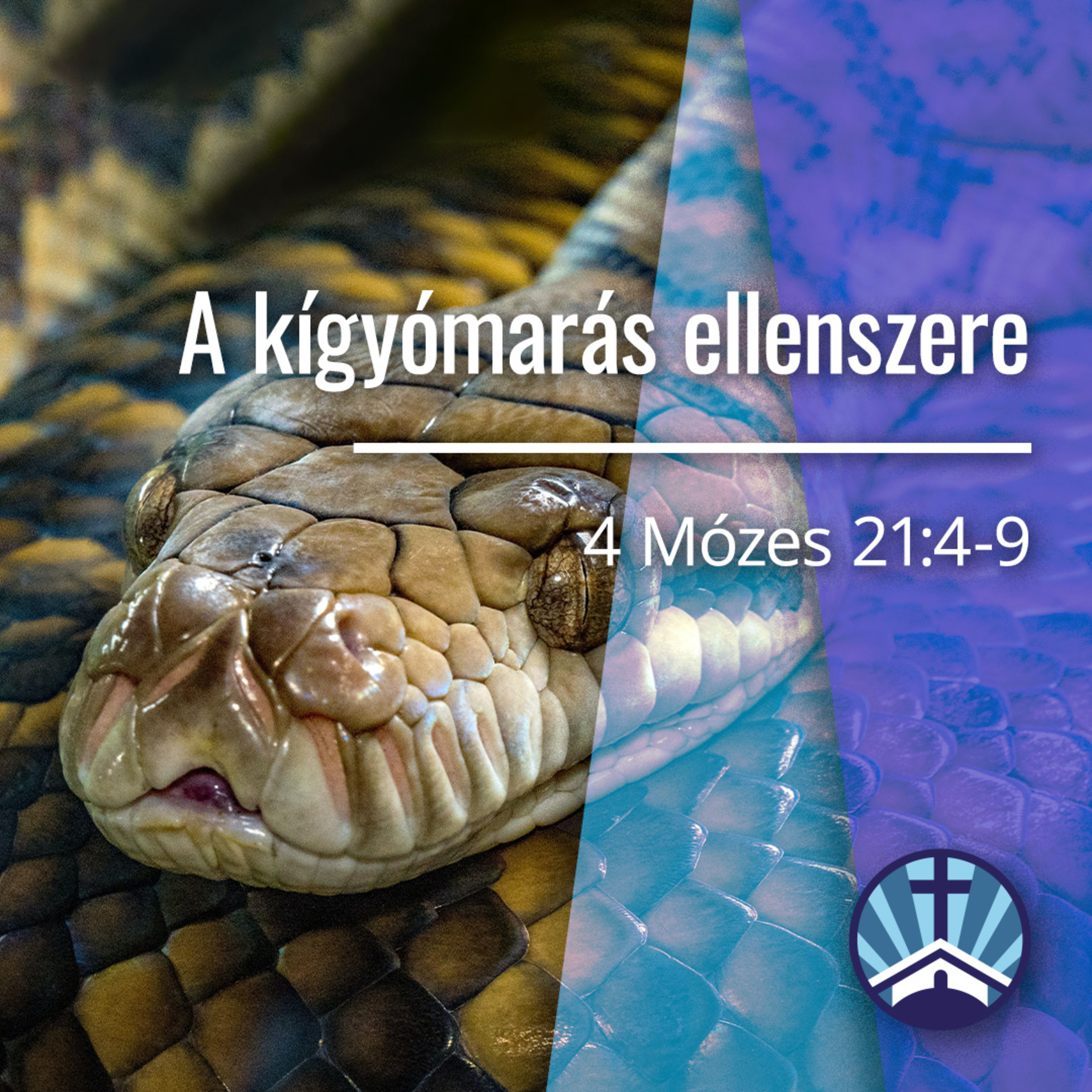 A kígyómarás ellenszere - 4 Mózes 21:4-9 episode artwork