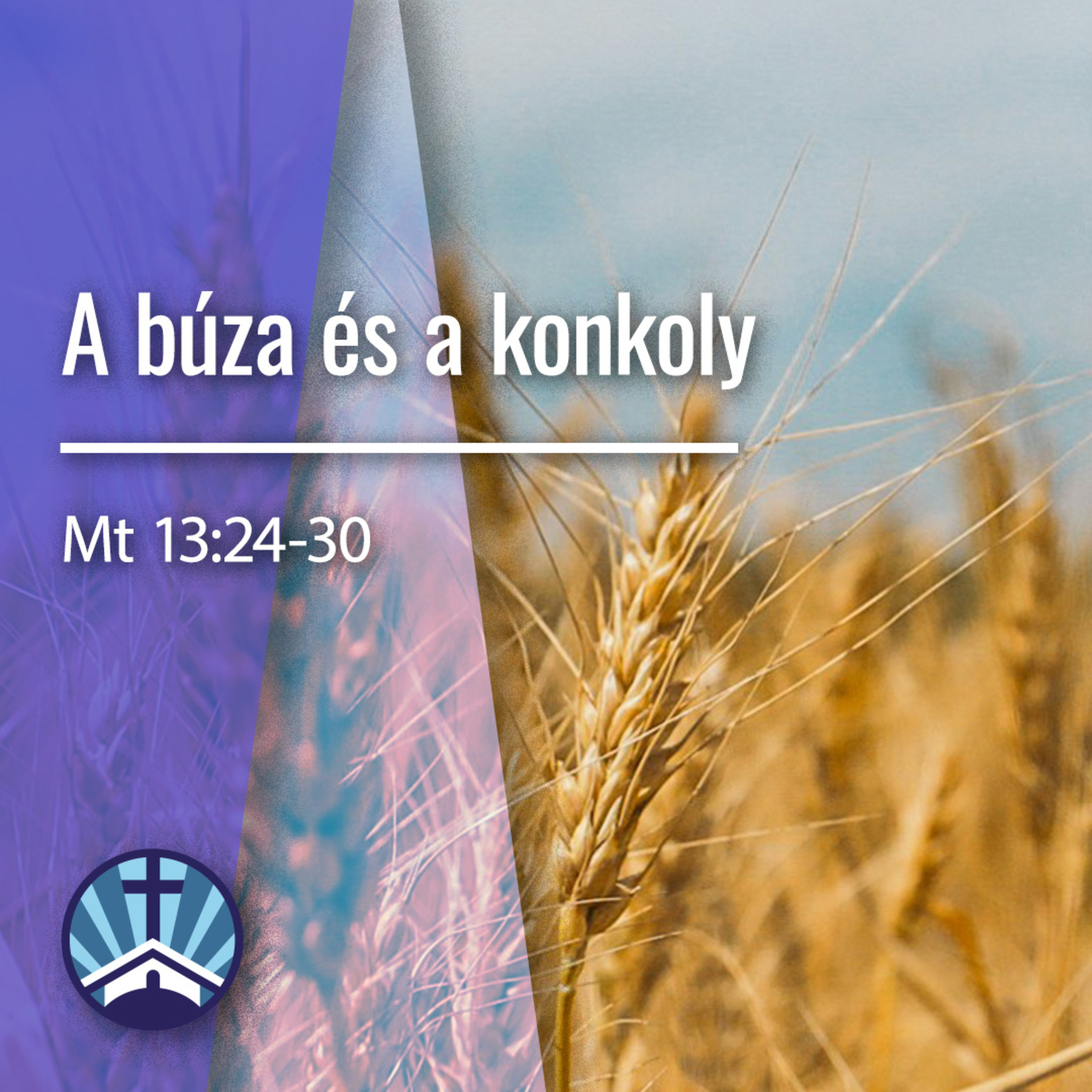 A búza és a konkoly - Mt 13:24-30 episode artwork