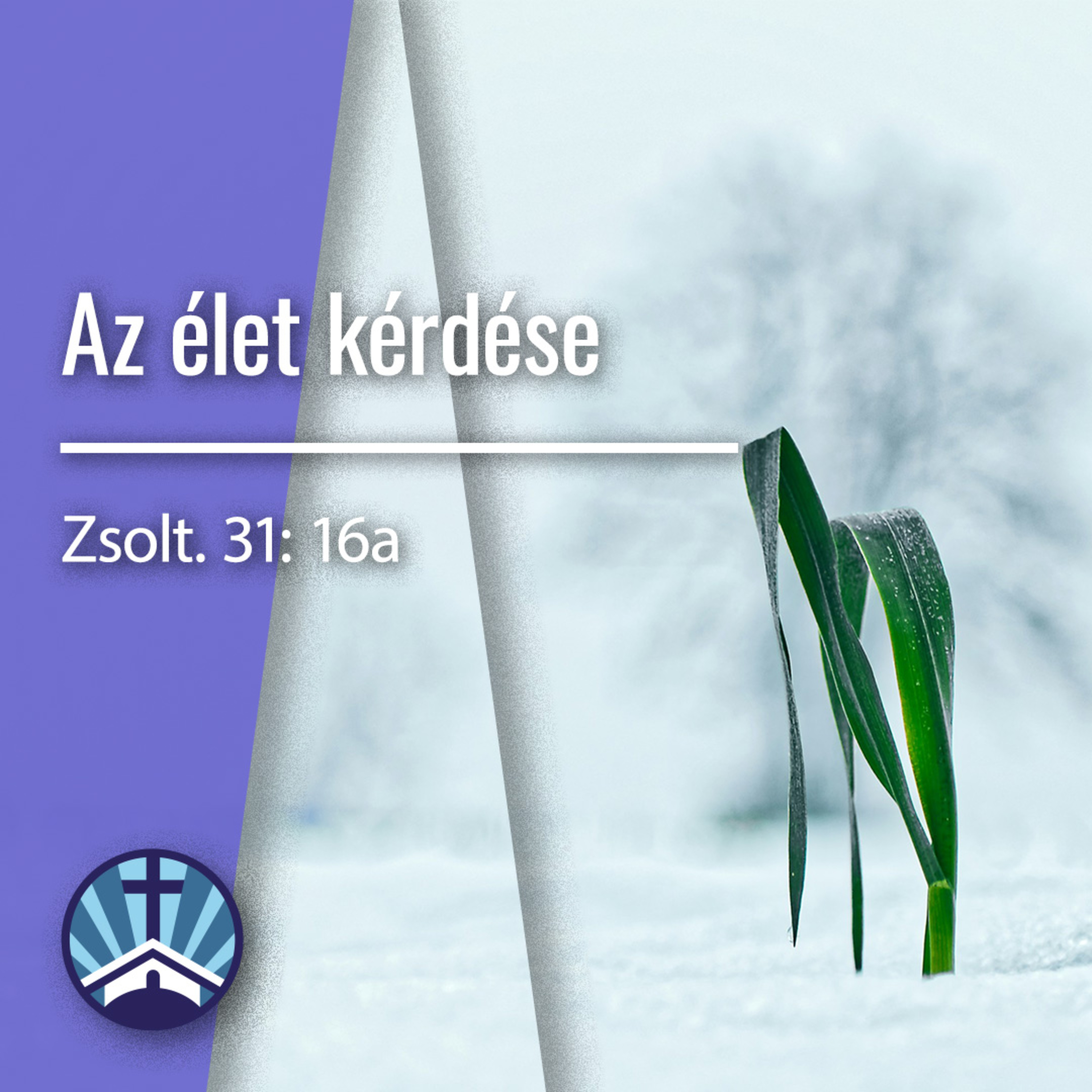 Az élet kérdése - Zsoltárok 31:16a episode artwork