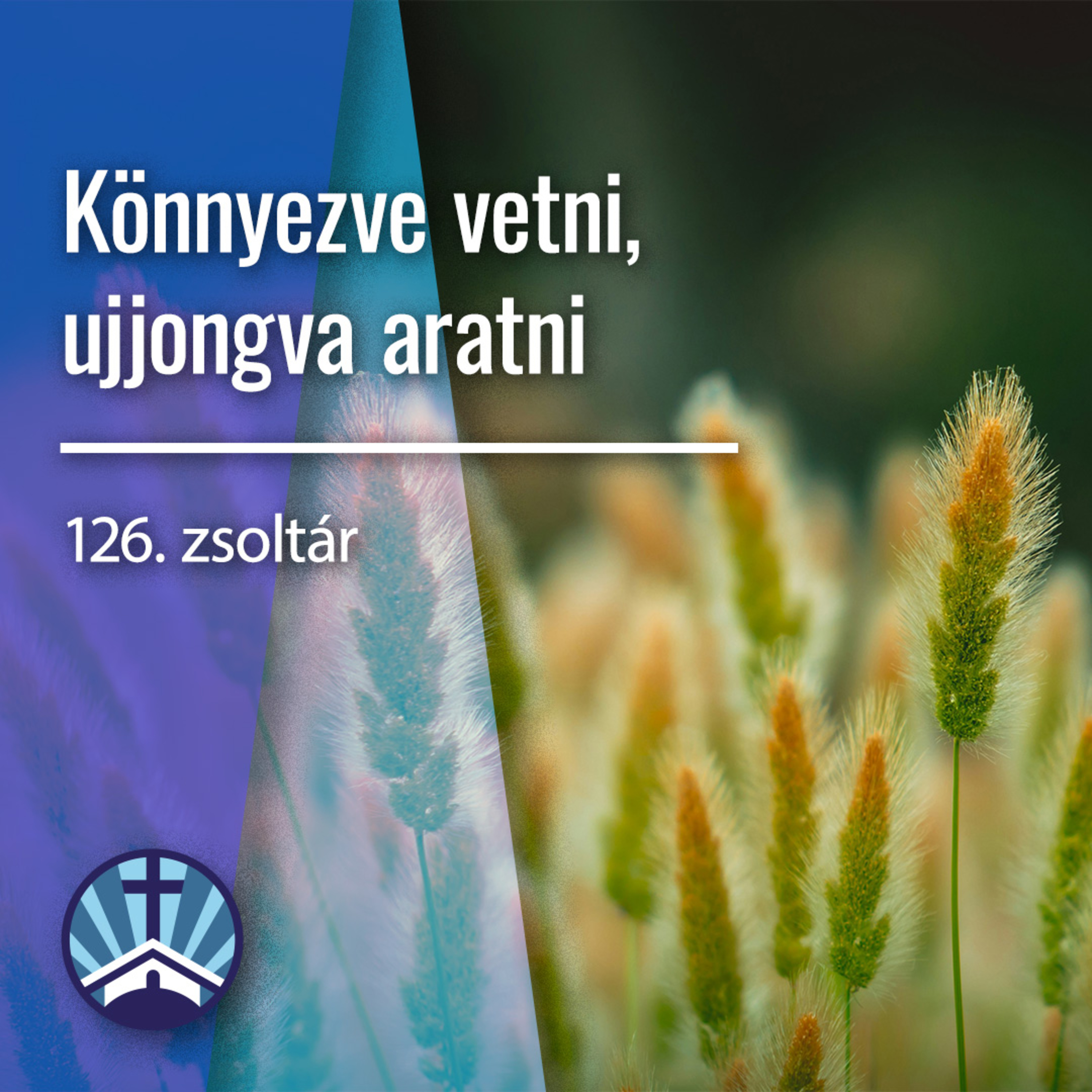 Könnyezve vezetni, ujjongva aratni episode artwork