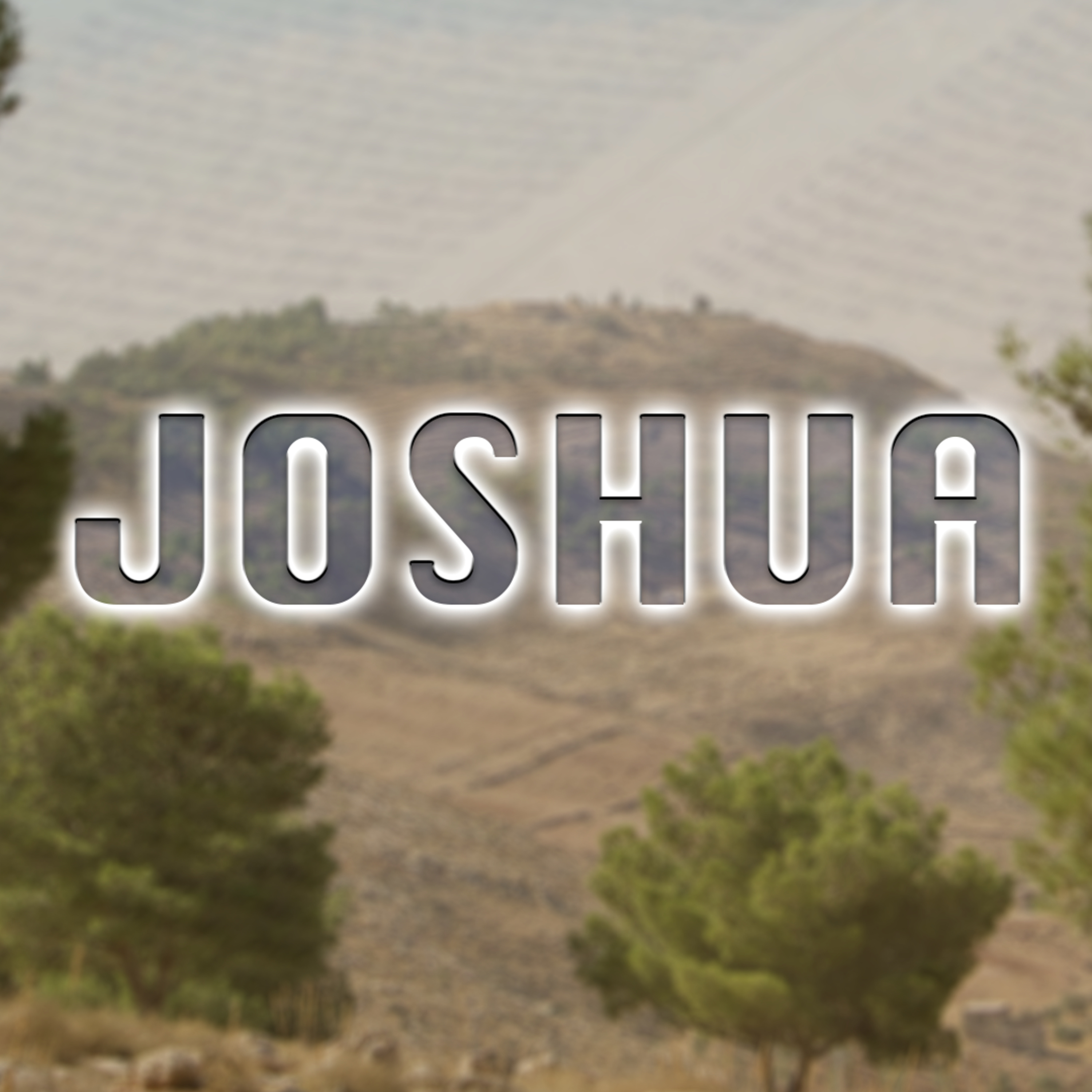 Joshua 23:3-8