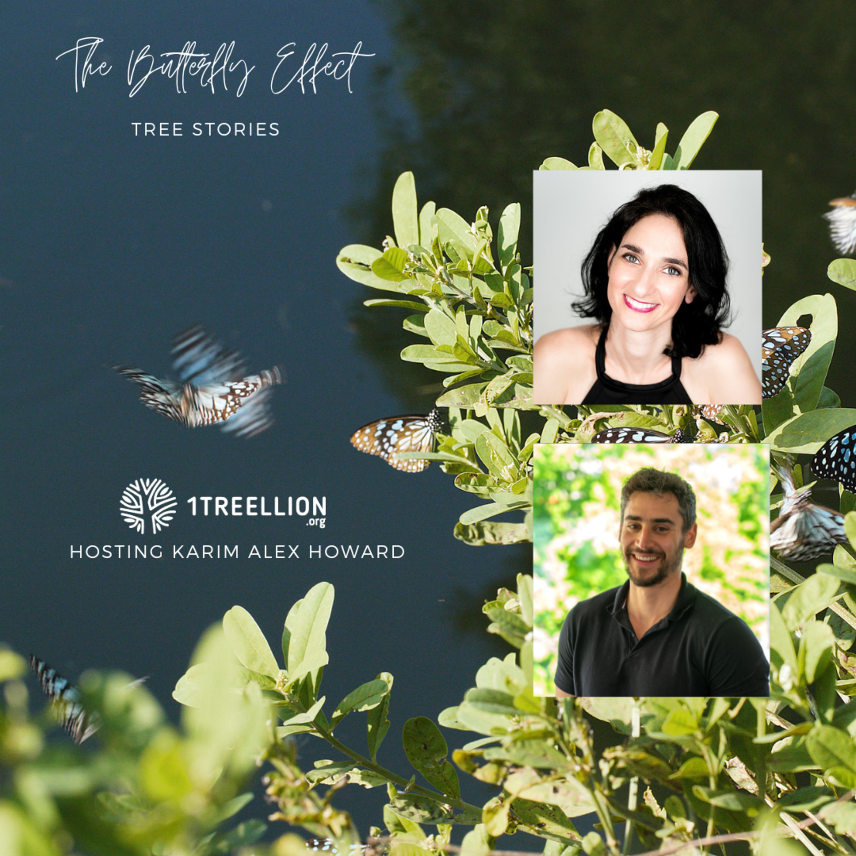 Episode 70 / The Butterfly Story of Technology and Regenerative Agriculture Hosting Alexandre Karim Howard episode artwork