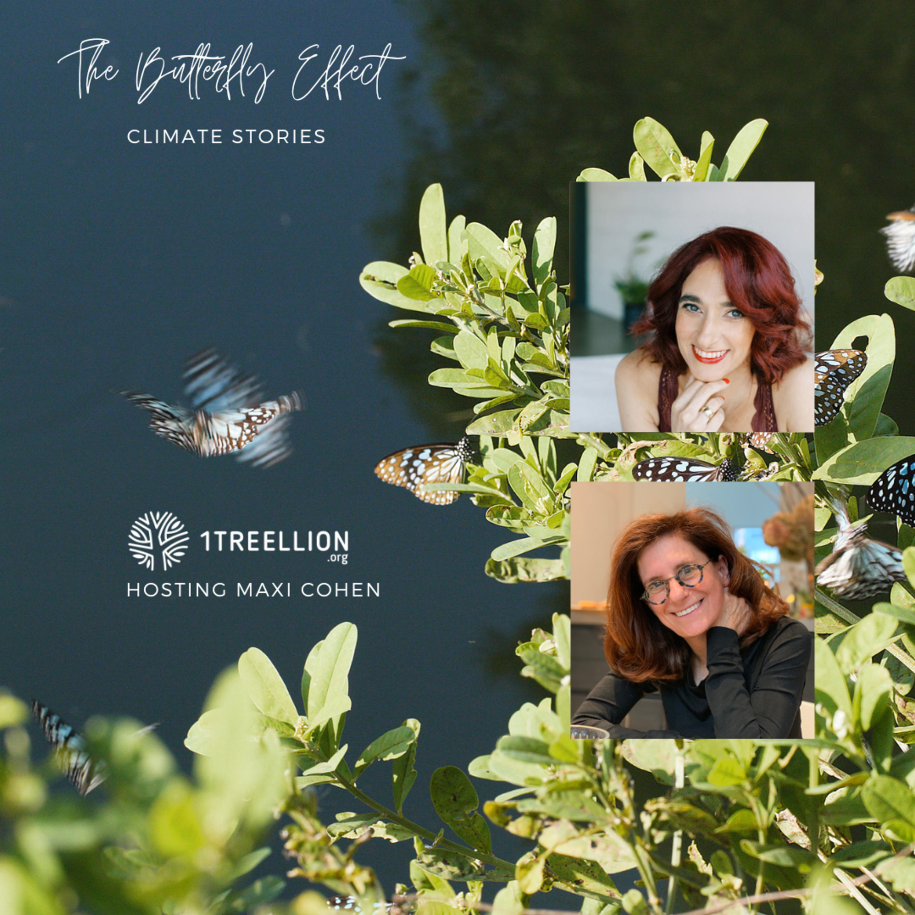 Episode 74 / The Butterfly Story of Art and Water Hosting Maxi Cohen episode artwork