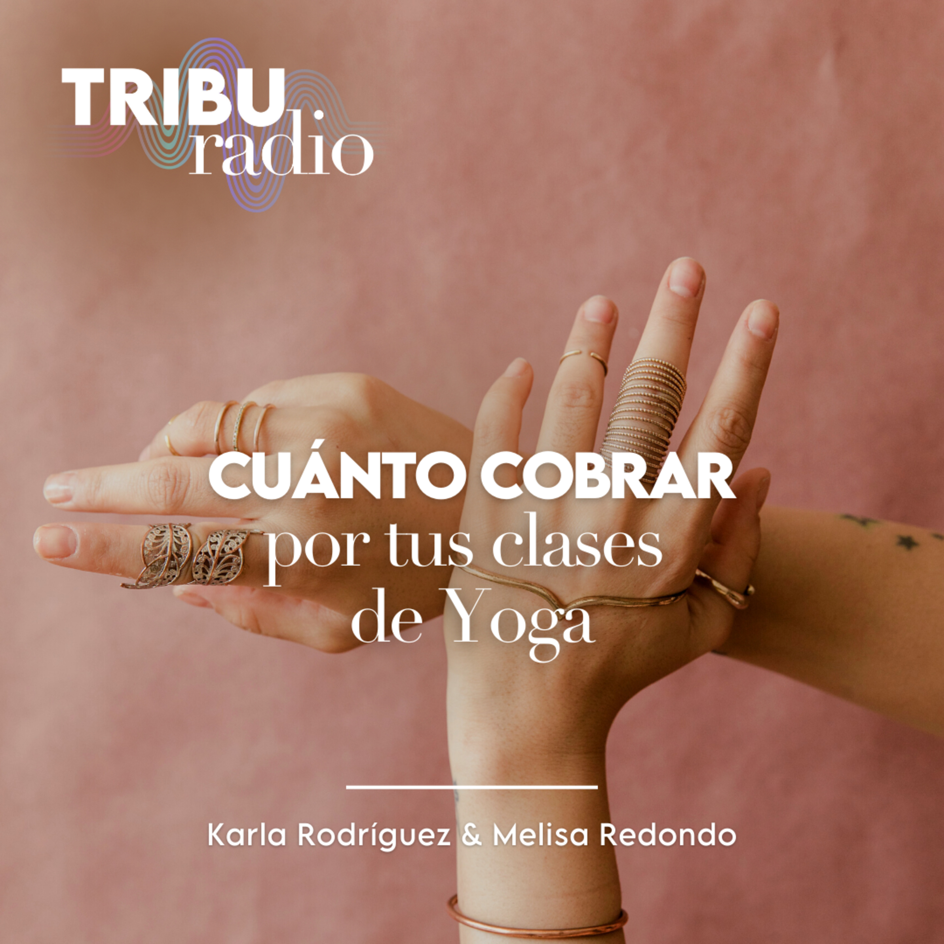 WELLPRENEURS | Cuánto cobrar por tus clases de Yoga? Con Melisa Redondo y Karla Rodríguez  episode artwork