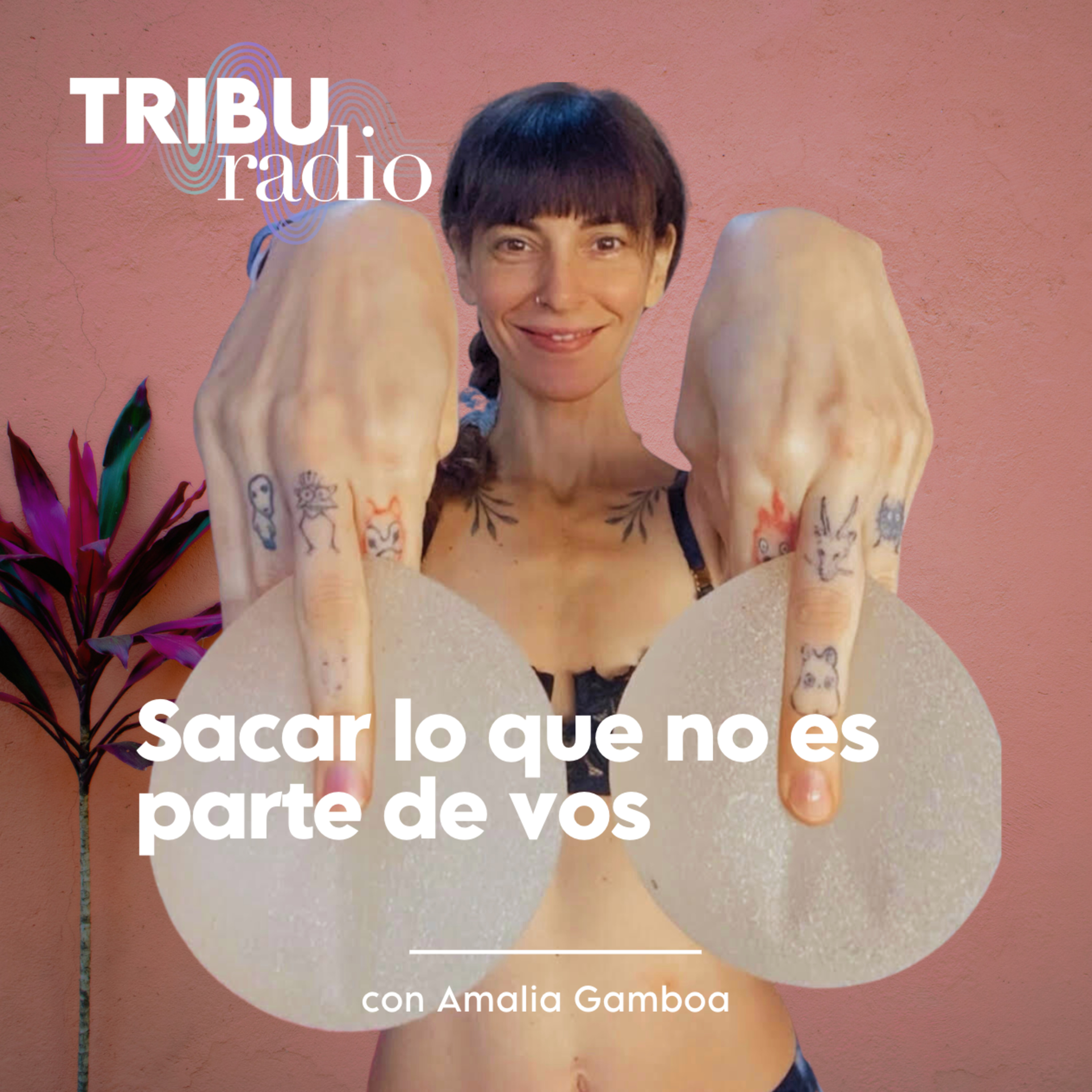 SANAMENTE | Sacar lo que no es parte de vos: Todo acerca de la explantación de prótesis mamarias. Con Amalia Gamboa. episode artwork