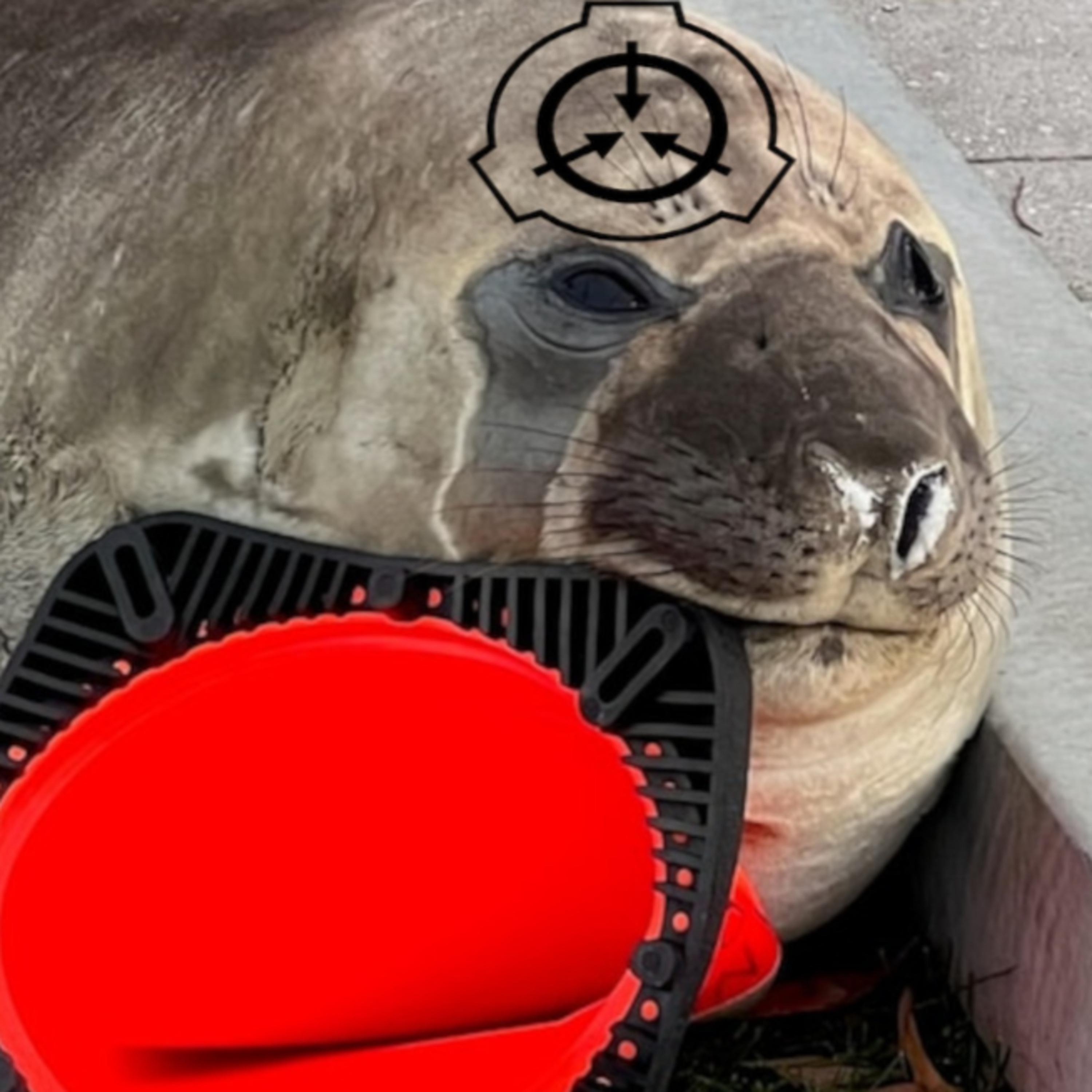 NEIL THE SEAL CAN'T BE STOPPED | SCP Files? (April Fools) episode artwork