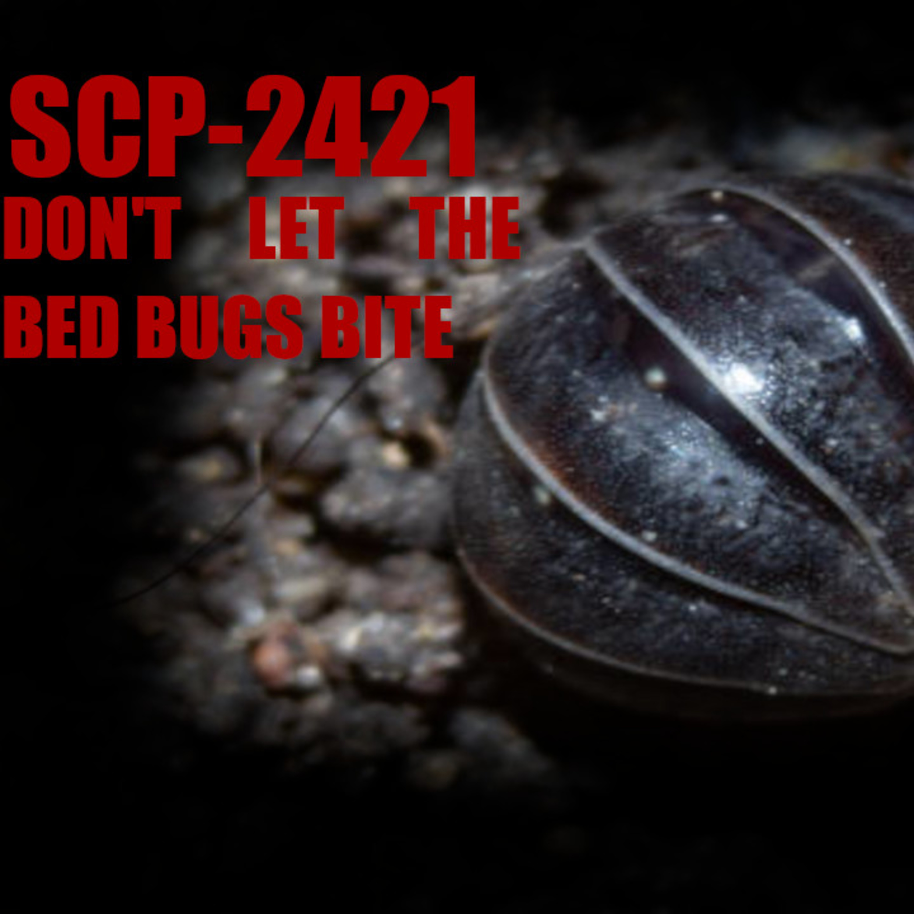 SCP-2421: Don't Let the Bedbugs Bite | SCP Files episode artwork