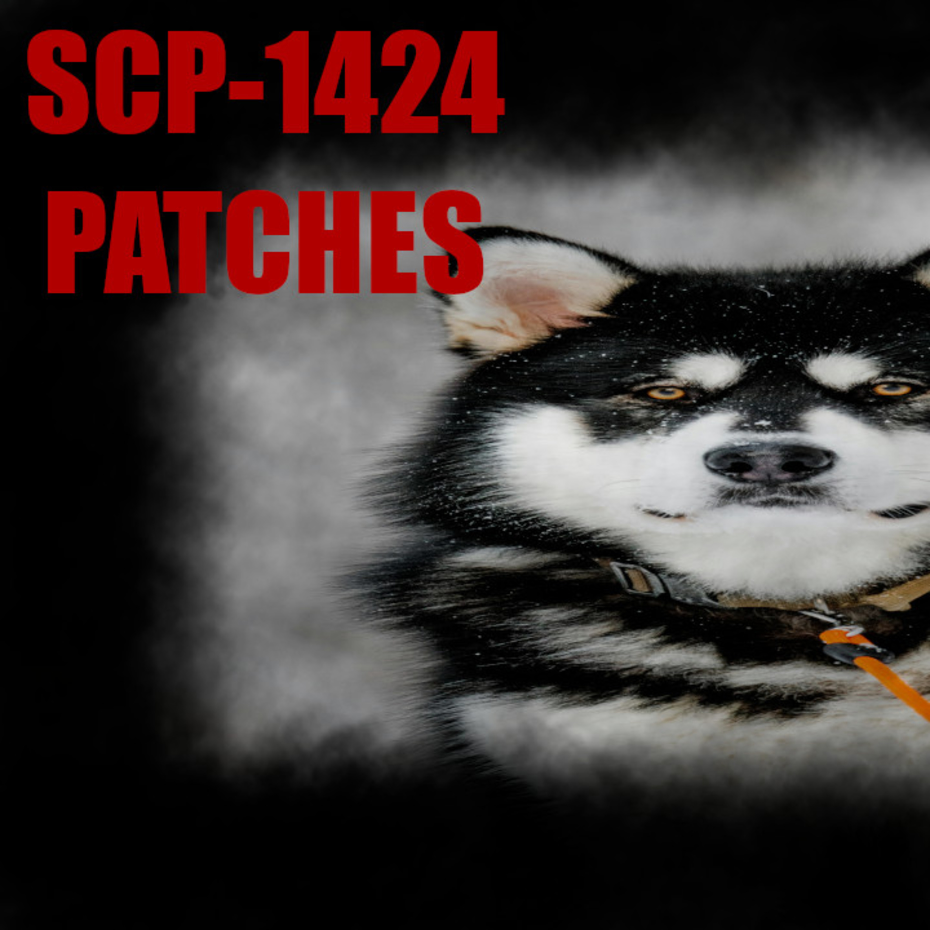 SCP-1424: Patches | SCP Files episode artwork