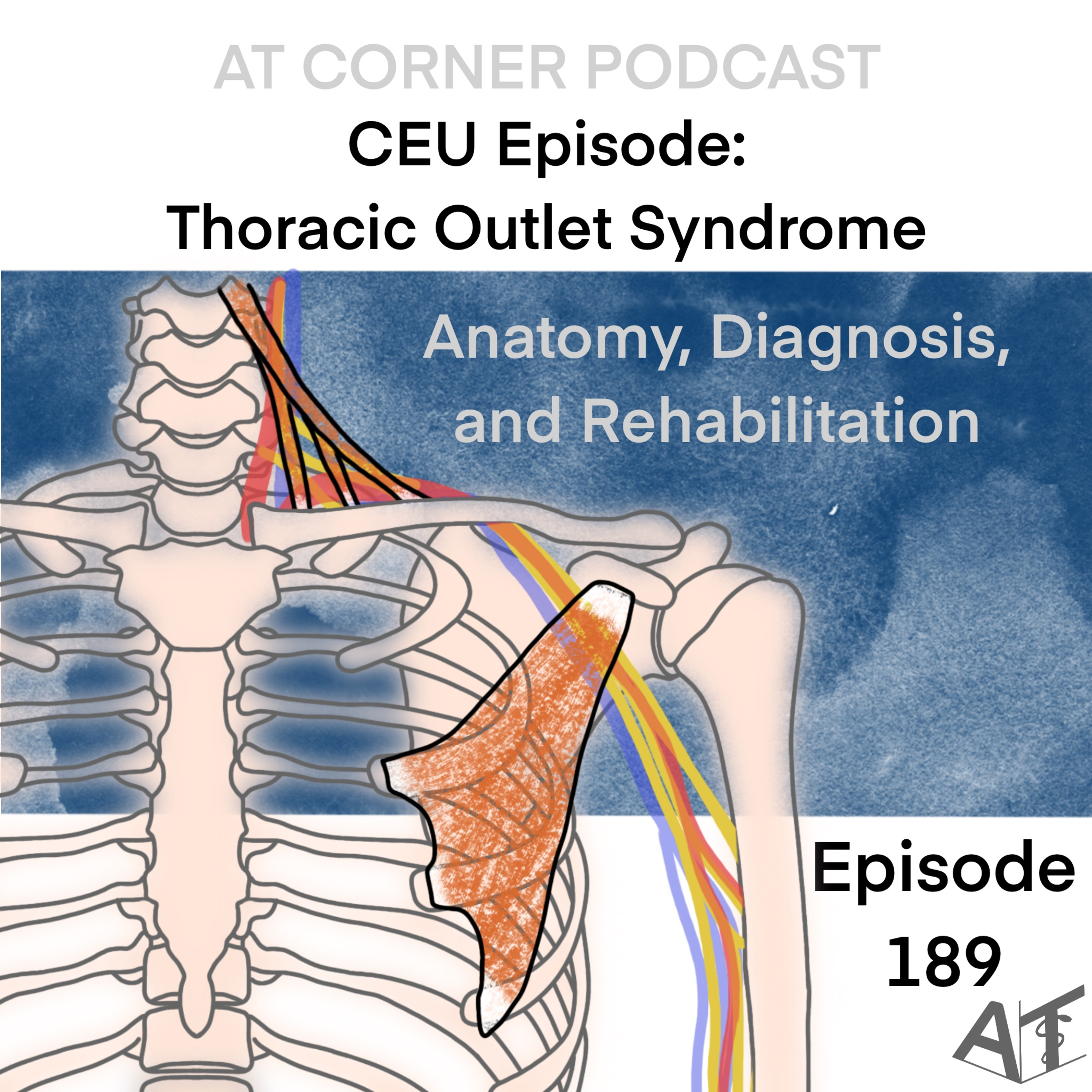 CEU: Thoracic Outlet Syndrome- Anatomy, Diagnosis, and Rehabilitation - 189 episode artwork