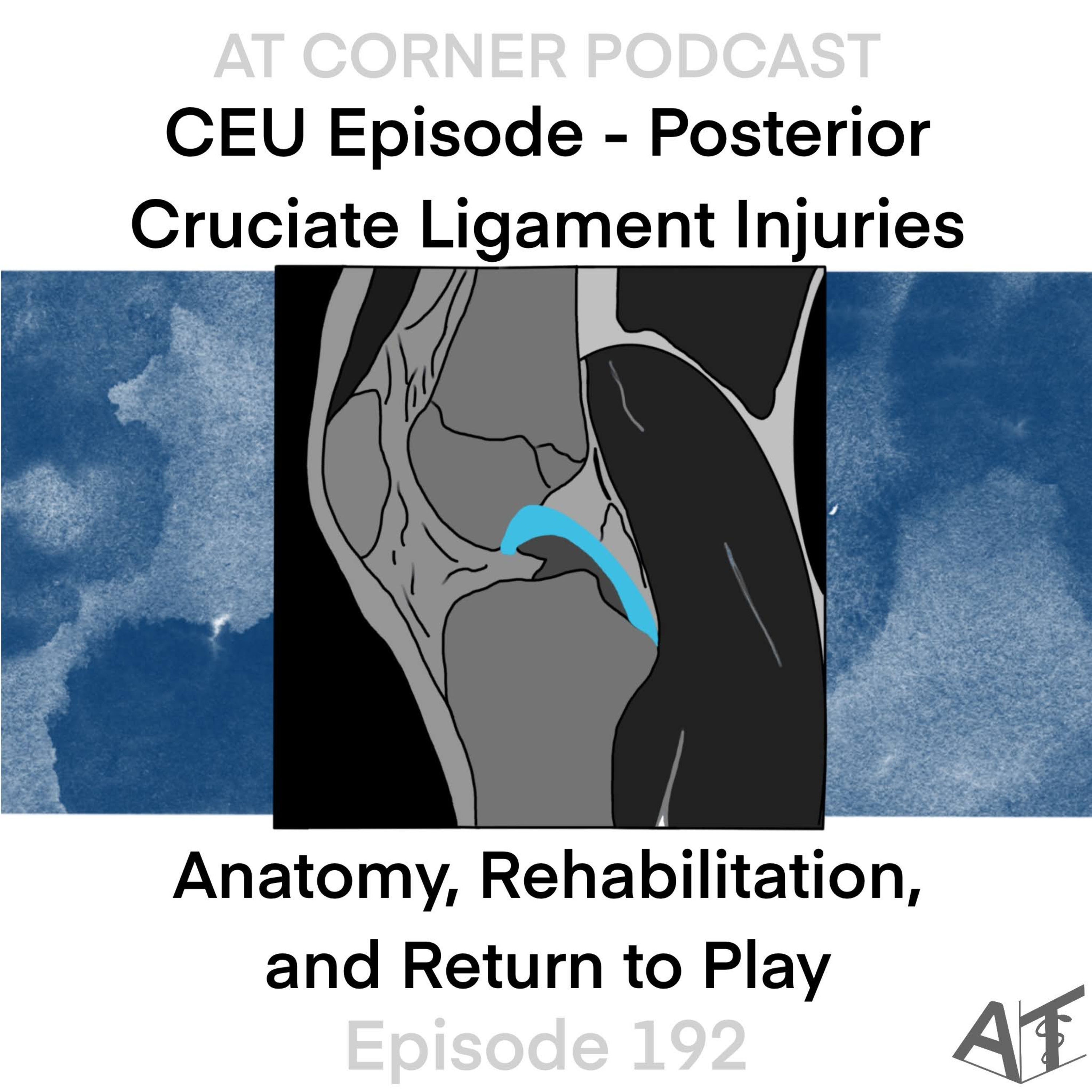 CEU: Posterior Cruciate Ligament Injuries - Anatomy, Rehabilitation, and Return to Play - 192 episode artwork