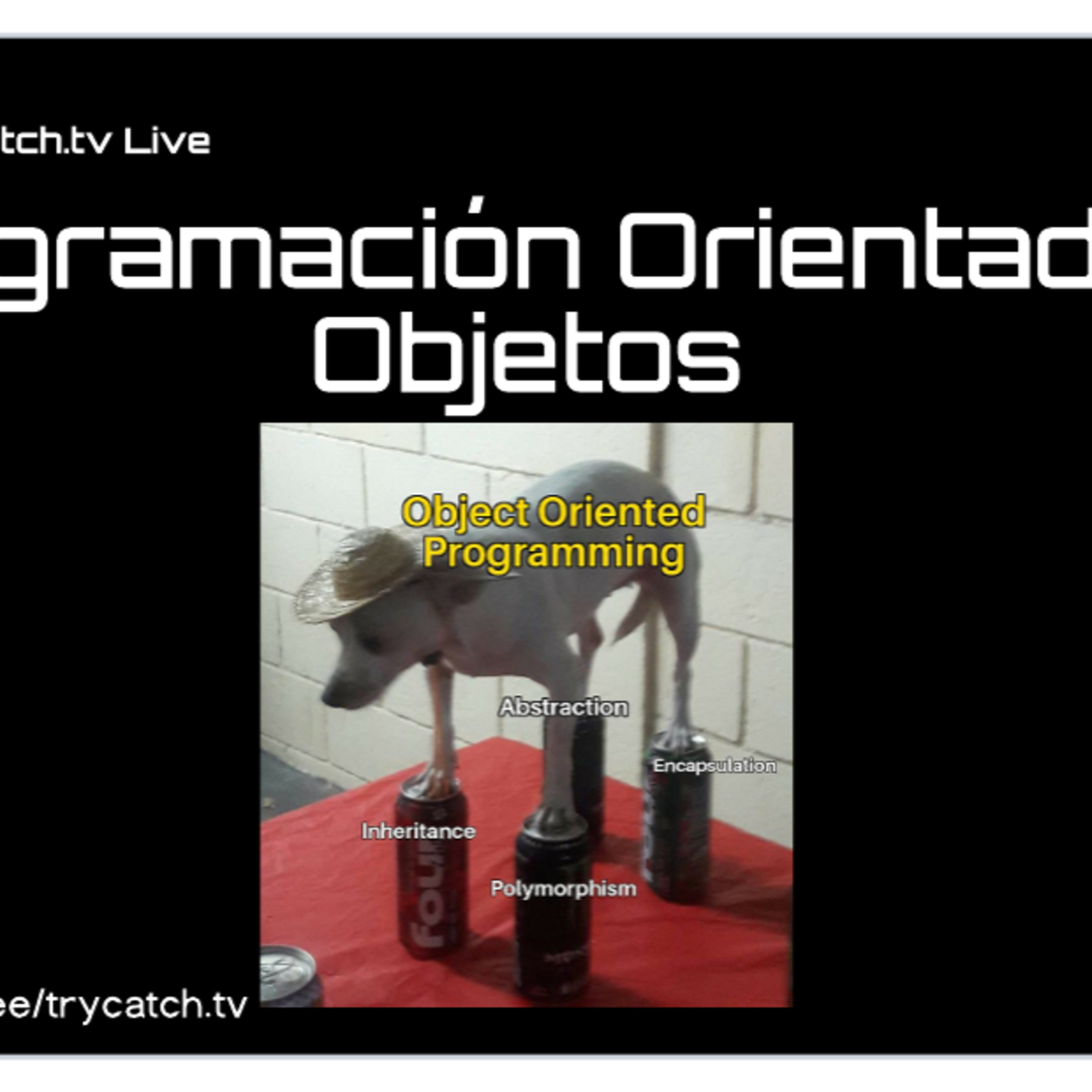 Programación Orientada a Objetos episode artwork