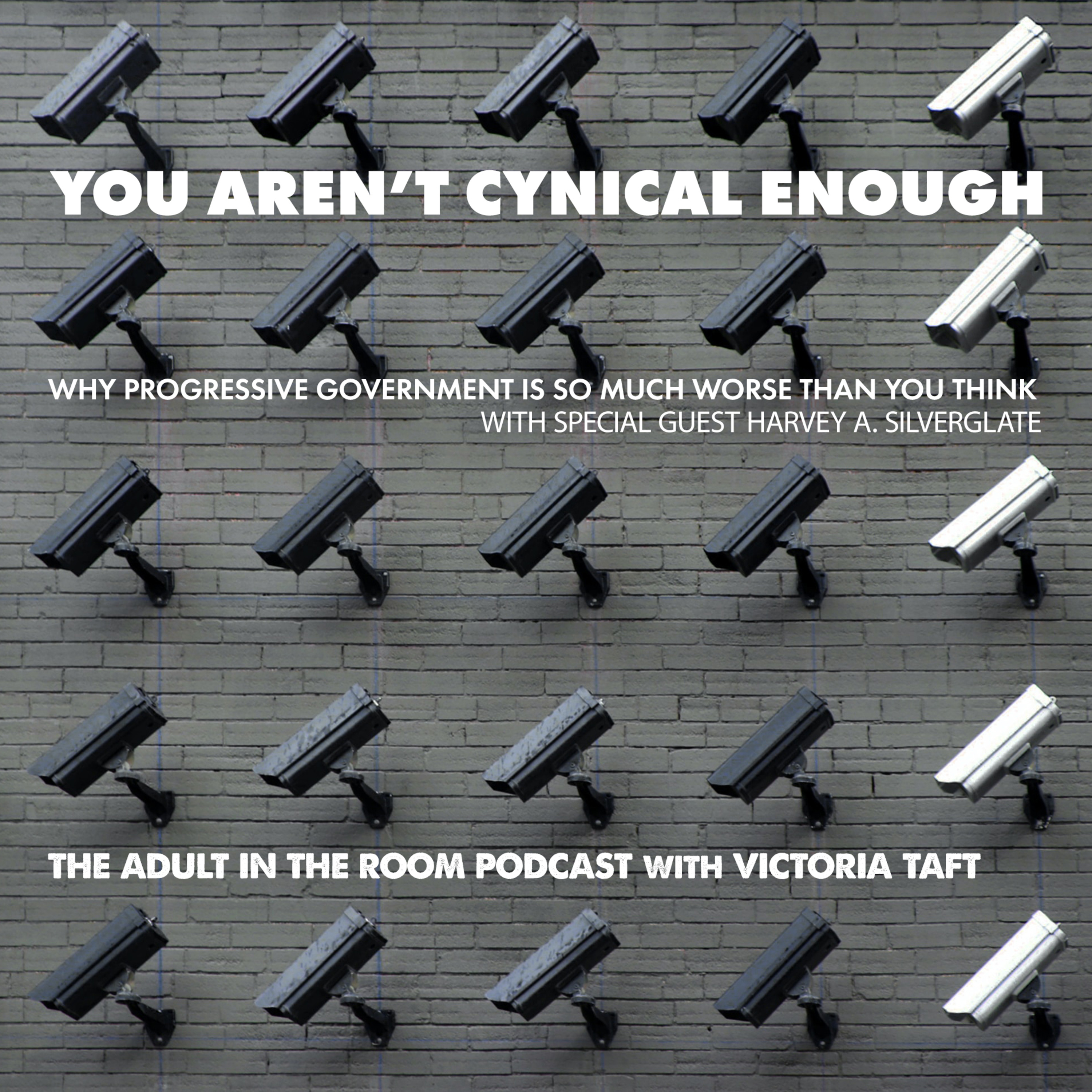 The Adult in the Room