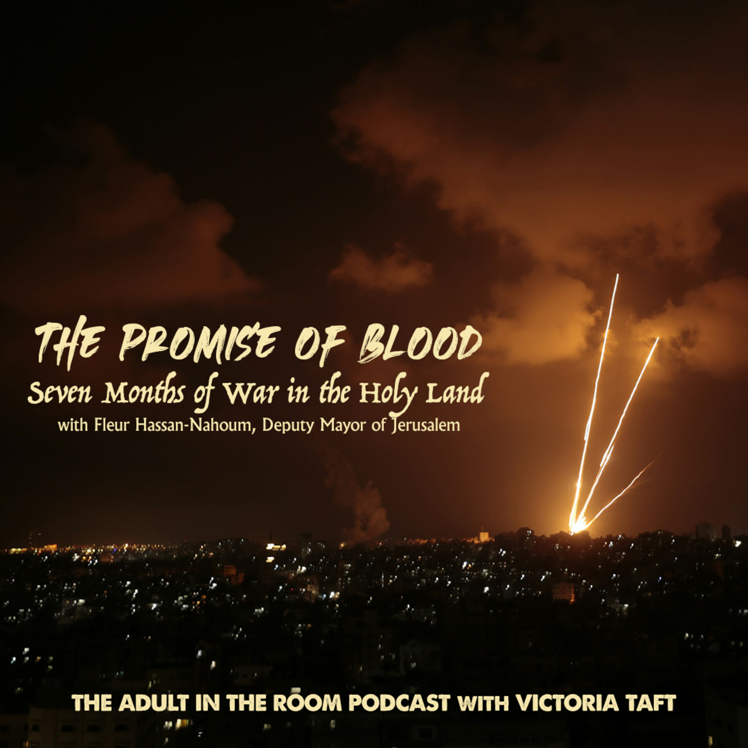 The Promise of Blood - Seven Months of War in the Holy Land with Fleur Hassan-Nahoum episode artwork
