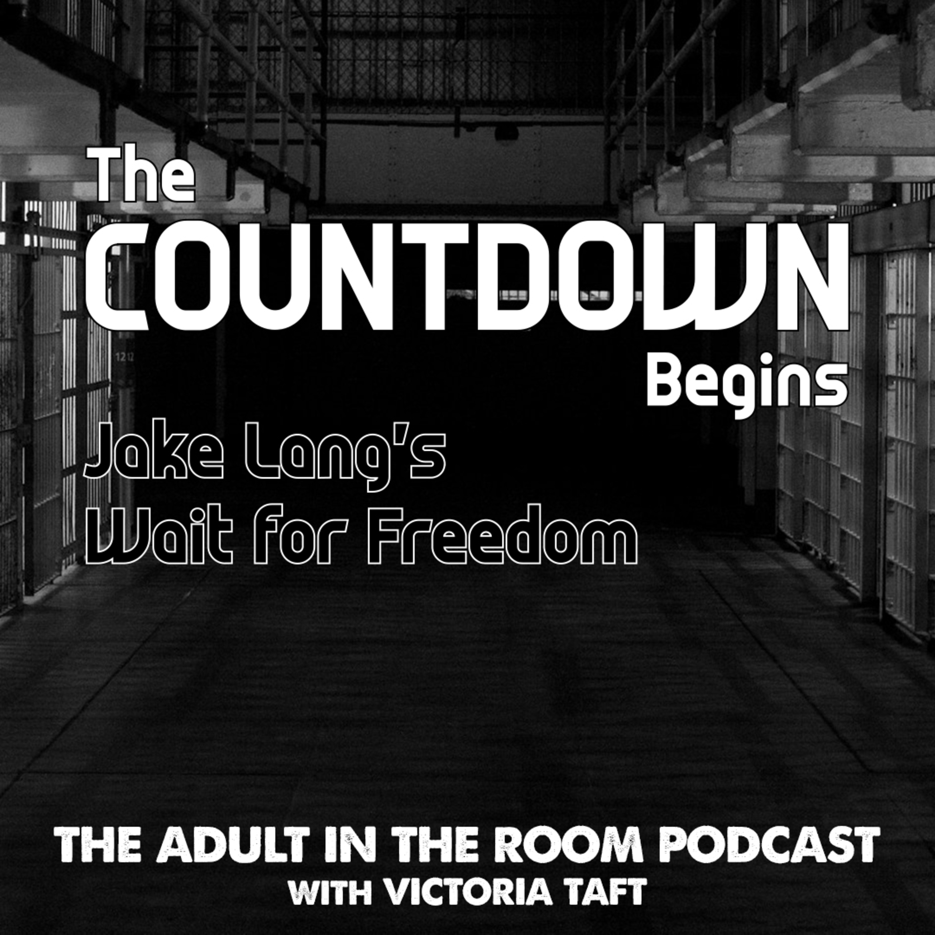 The Adult in the Room