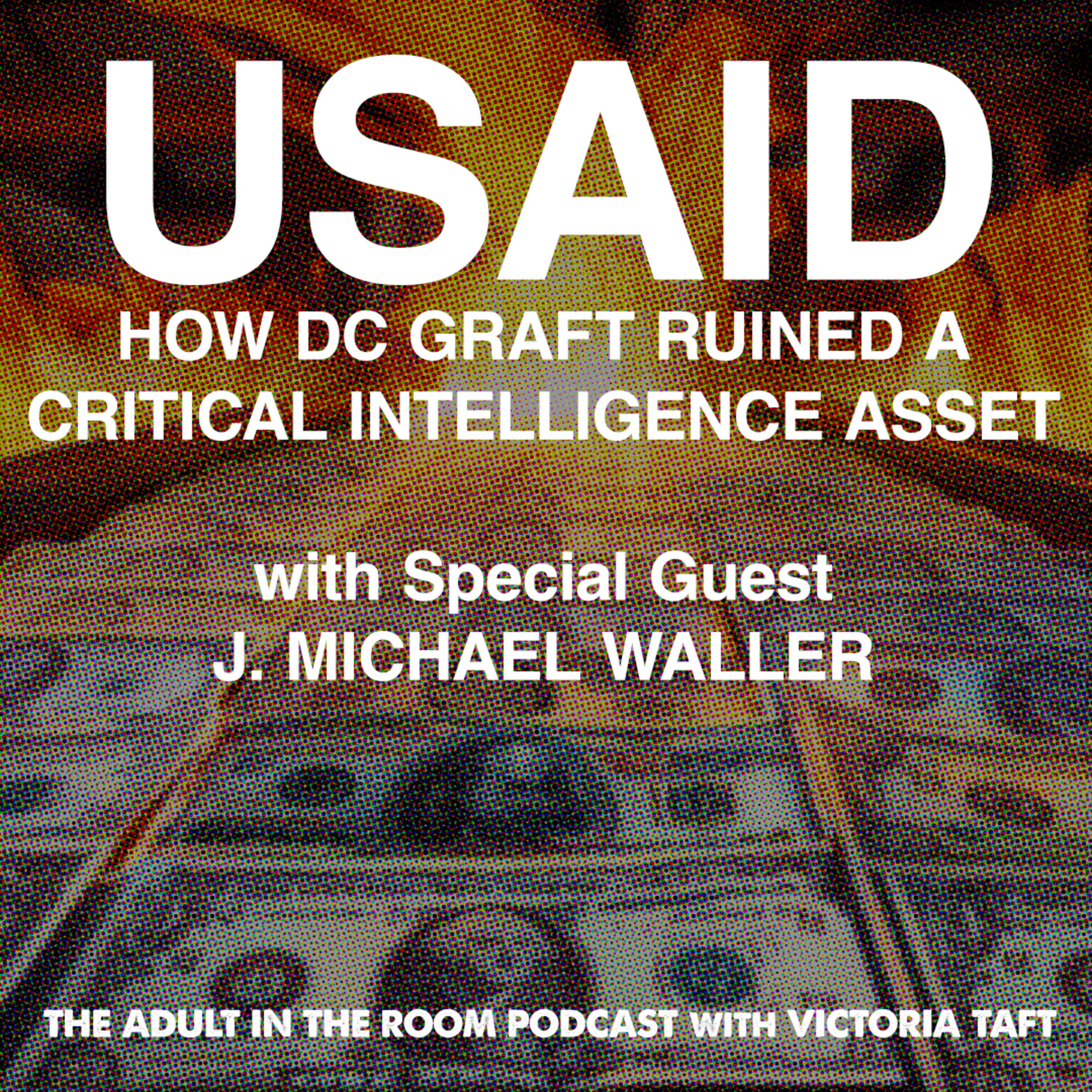 USAID: How DC Graft Ruined a Critical Intelligence Asset with J. Michael Waller episode artwork