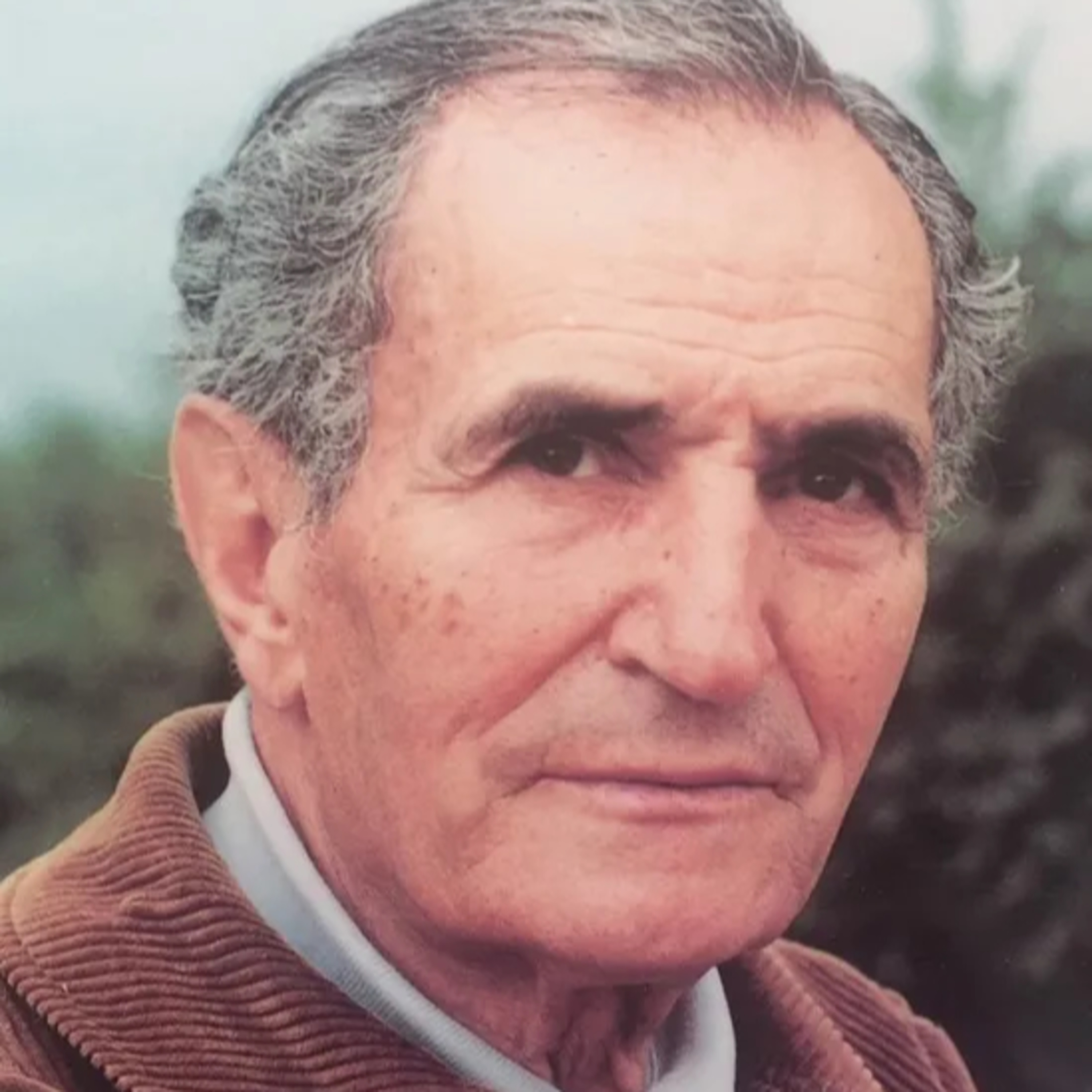 Torga: Força, Terra e Liberdade