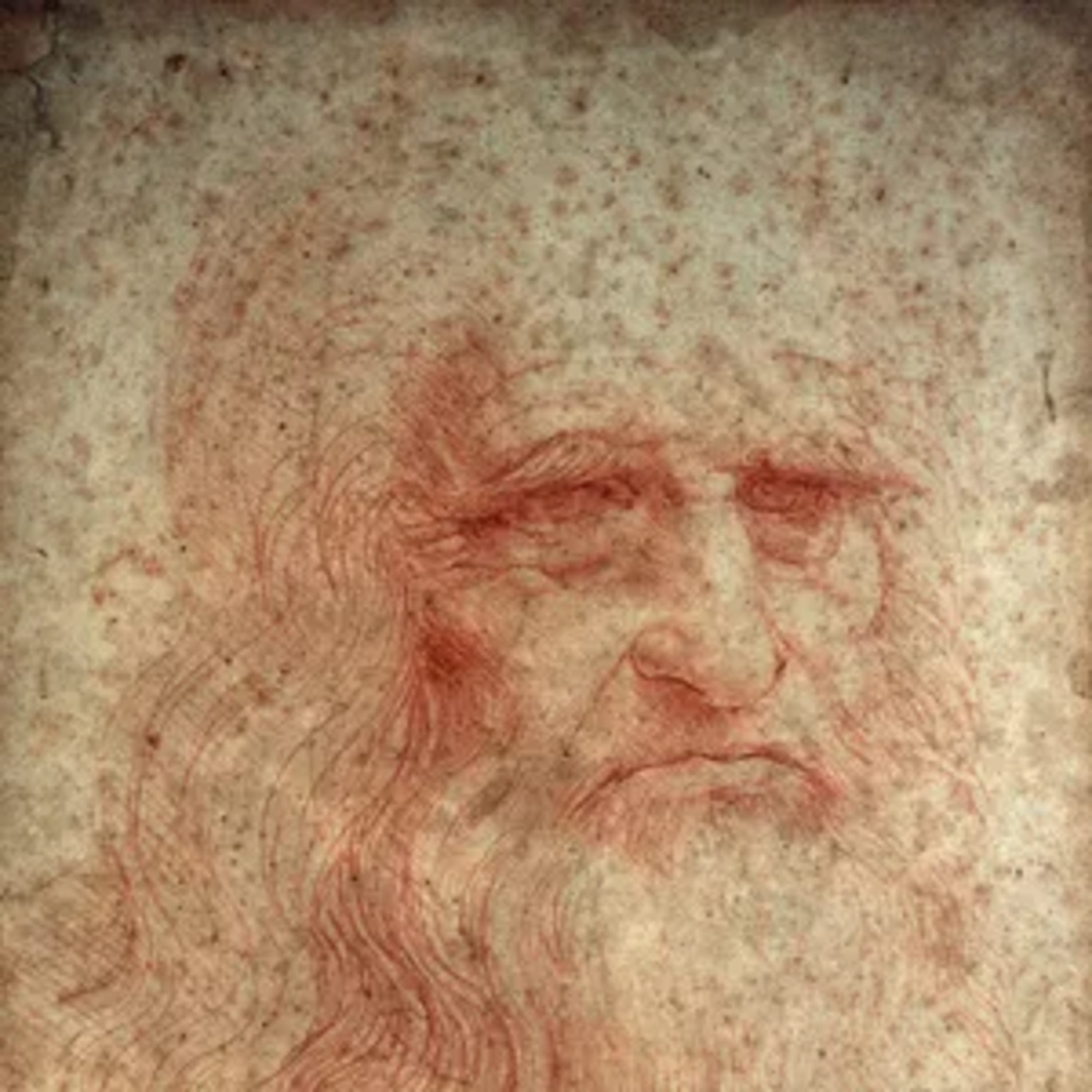 Beleza , Força e o segredo de Leonardo da Vinci