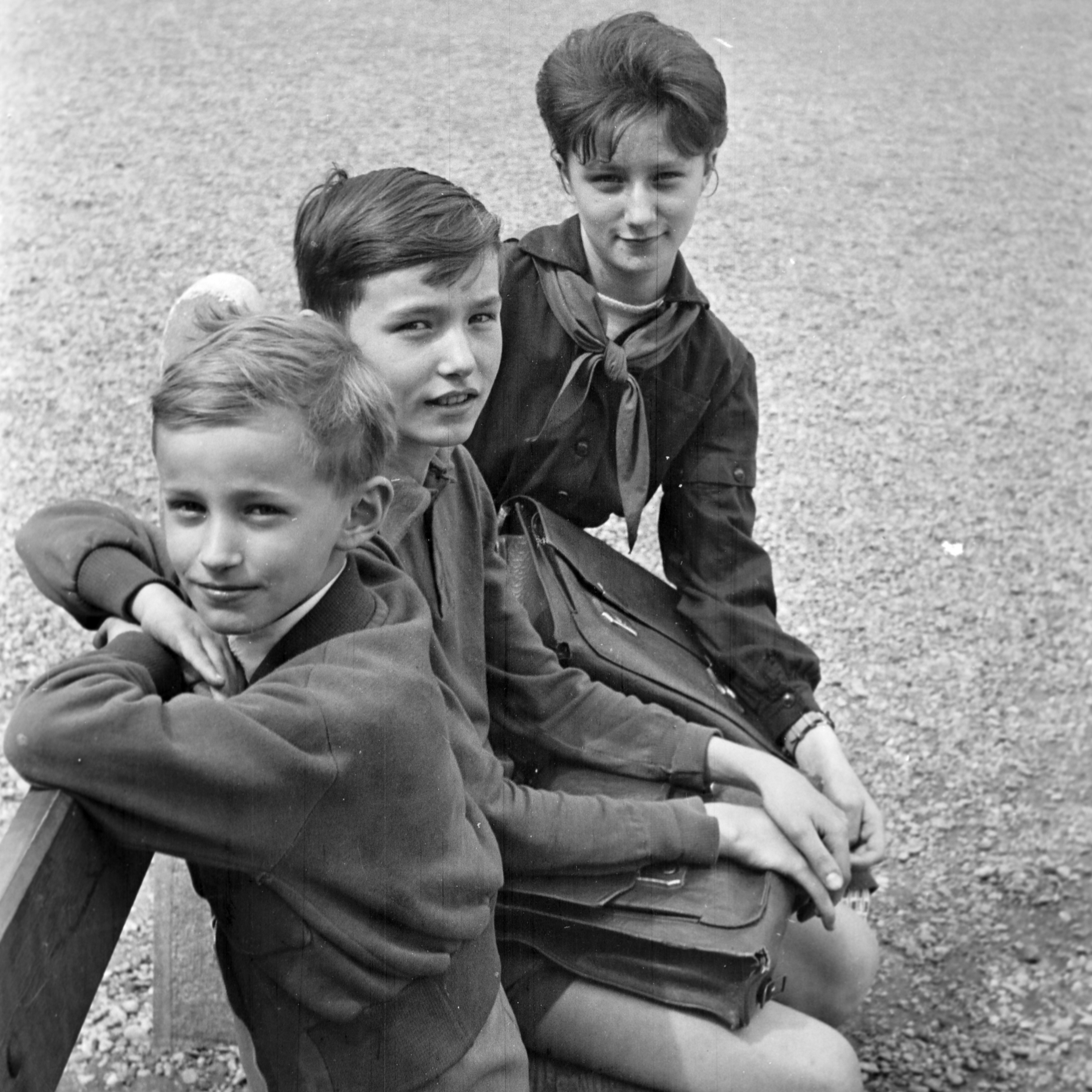 Ler o mundo hoje: a escola em tempos de inteligência artificial