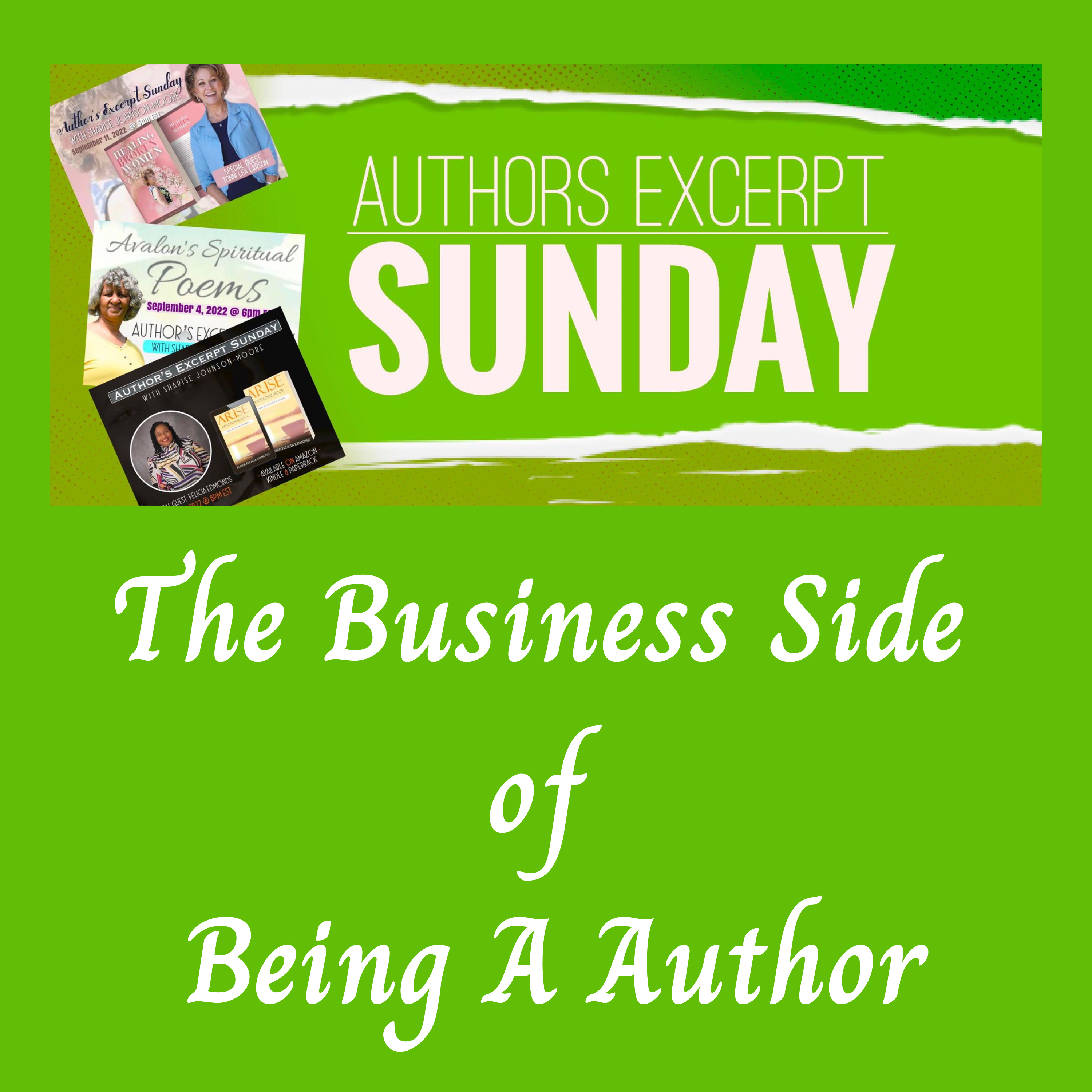 Author's Excerpt Sunday - The Business Side of Being A Author episode artwork