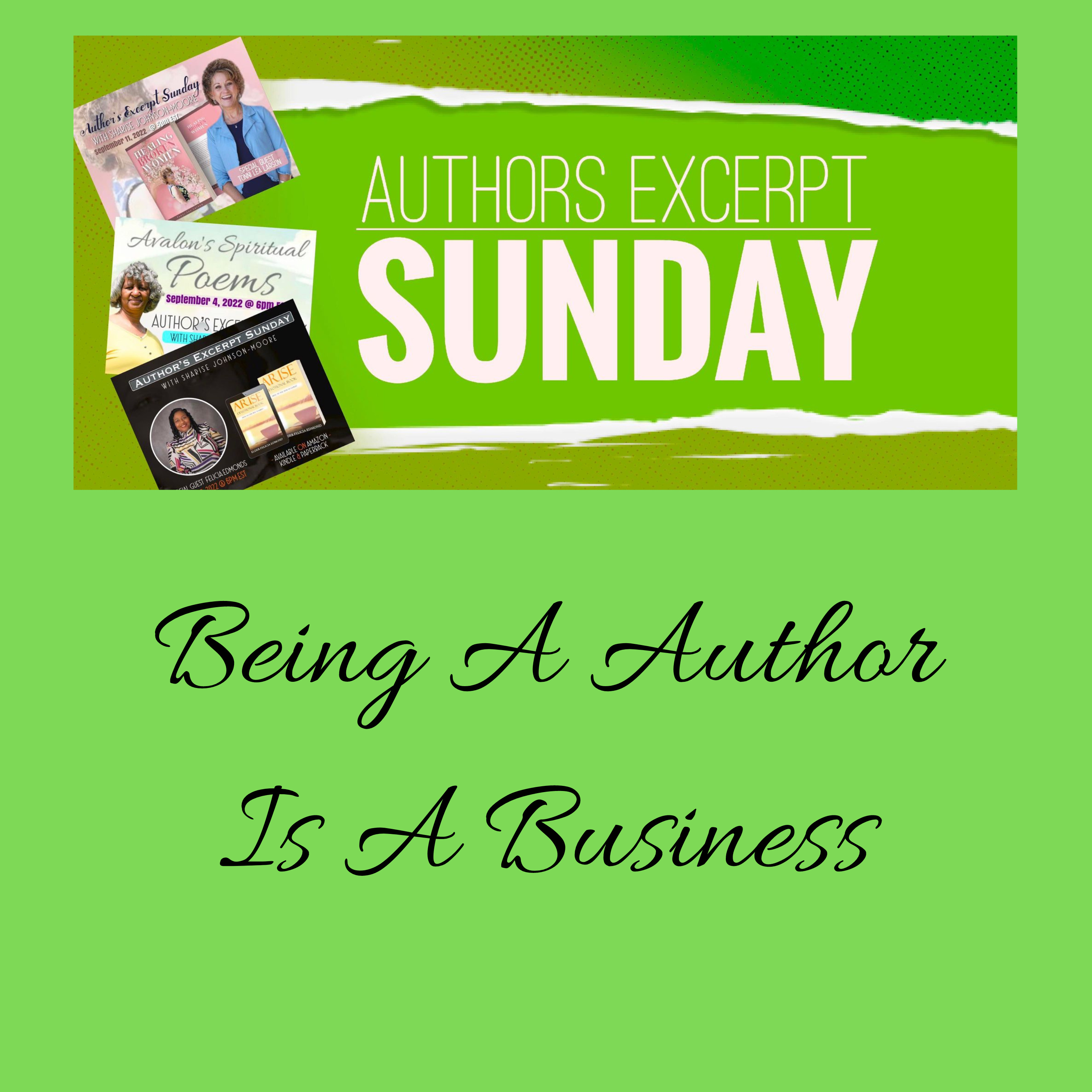 Author's Excerpt Sunday - Being A Author Is A Business episode artwork