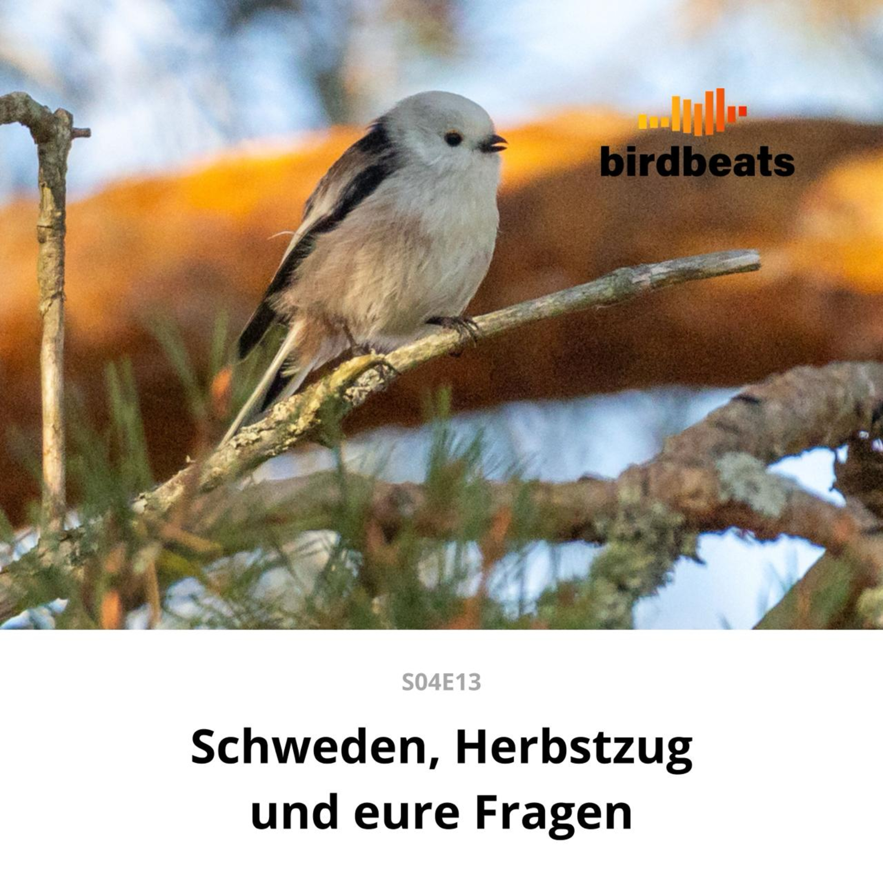 Schweden, Herbstzug und eure Fragen