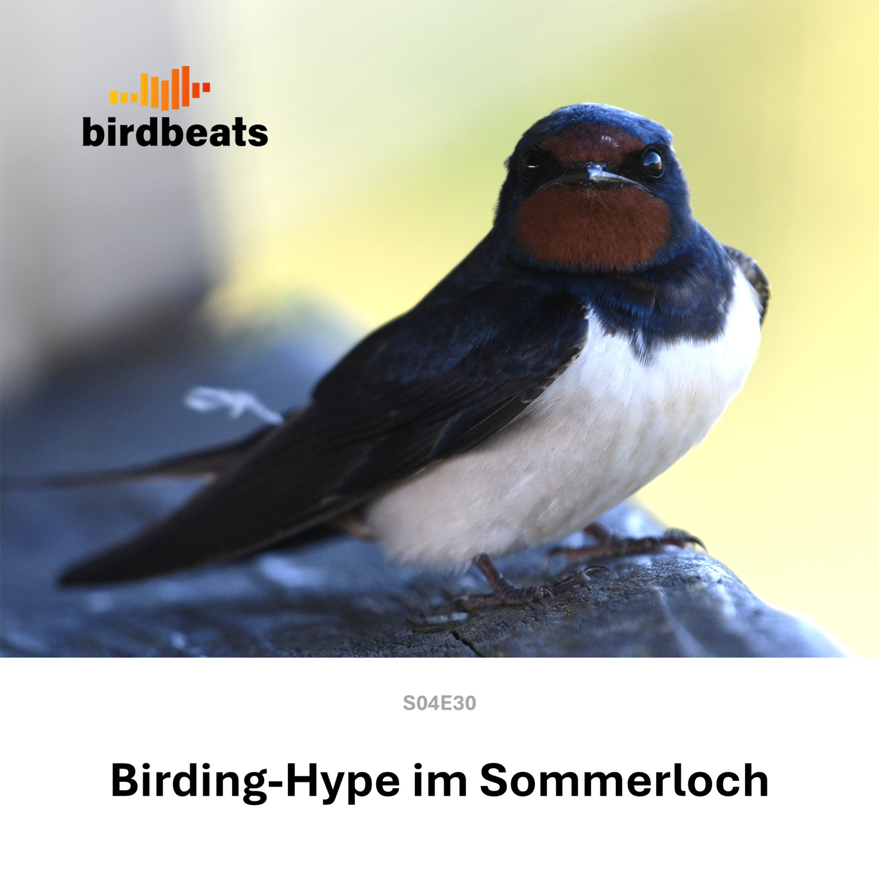 Birding-Hype im Sommerloch episode artwork