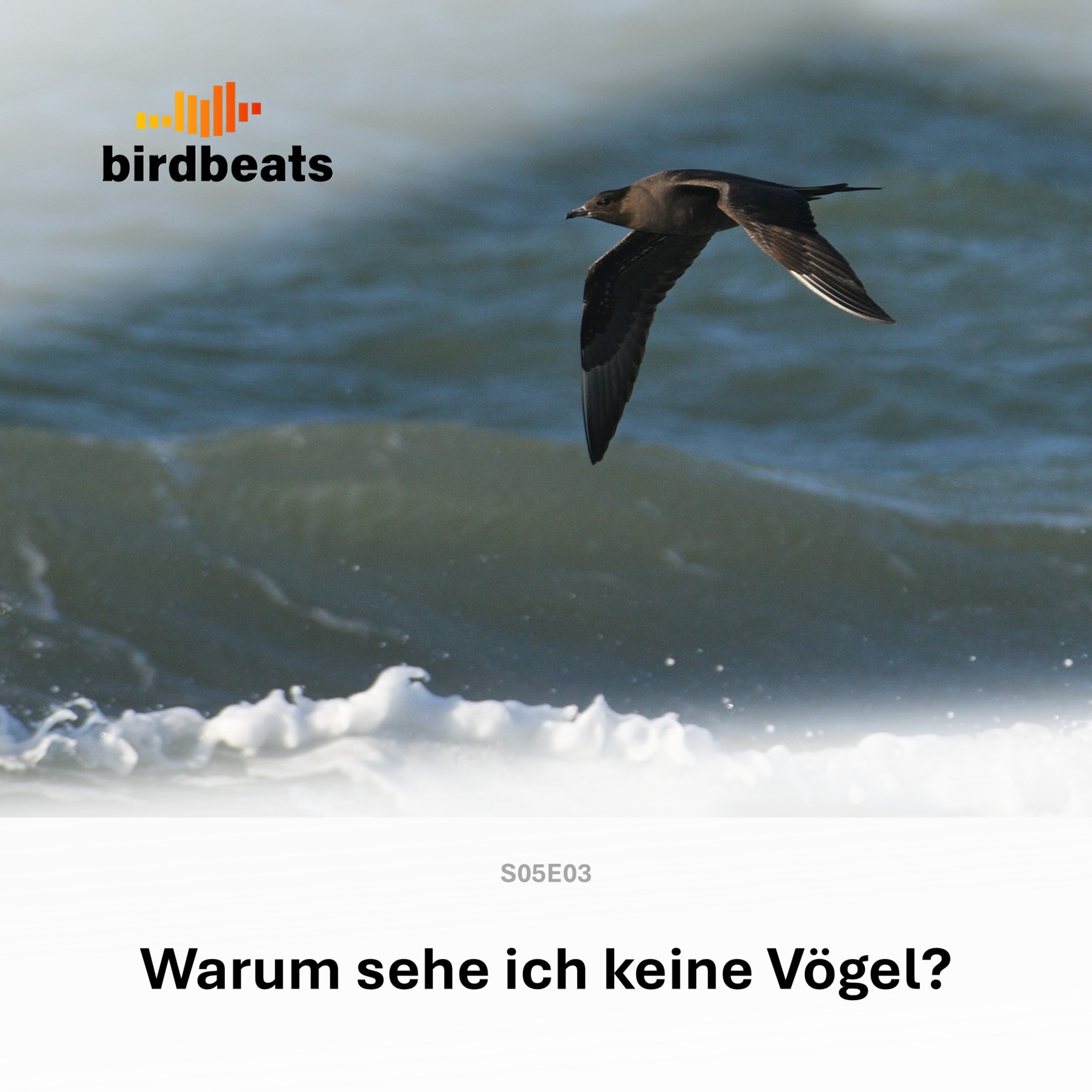 Warum sehe ich keine Vögel? episode artwork