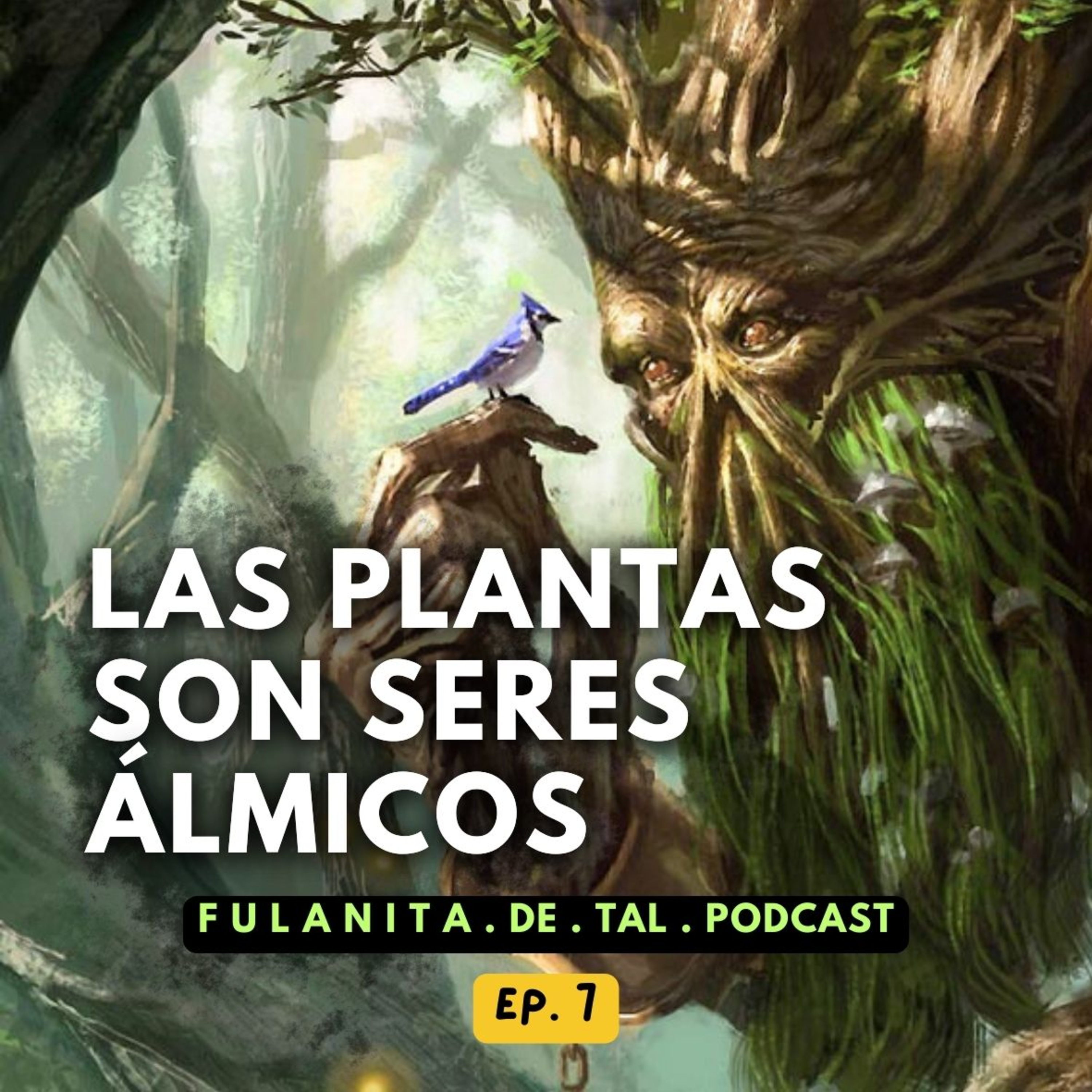 Fulanita de Tal Podcast