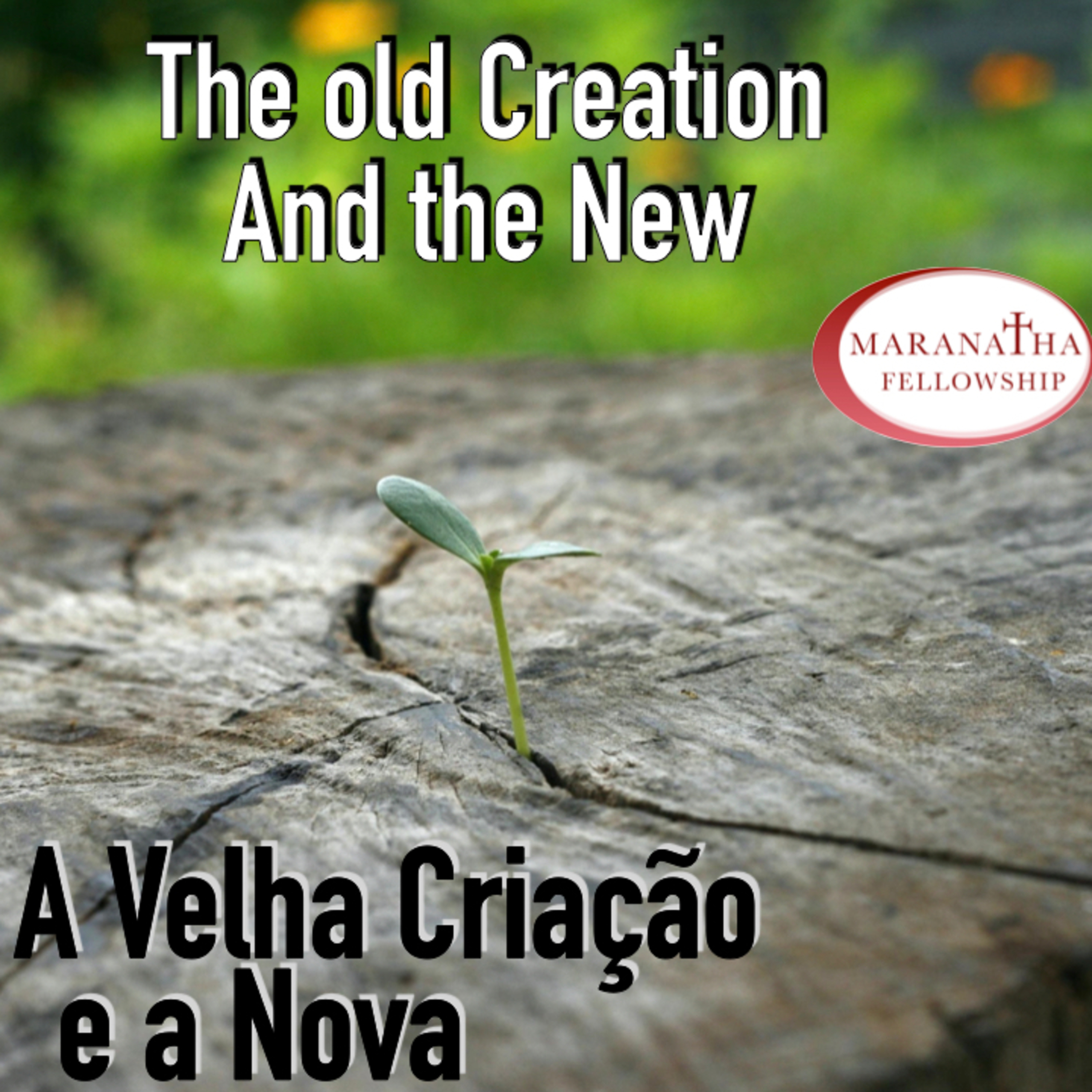 MFJ - A velha criação e a Nova ( The old creation an the new) episode artwork