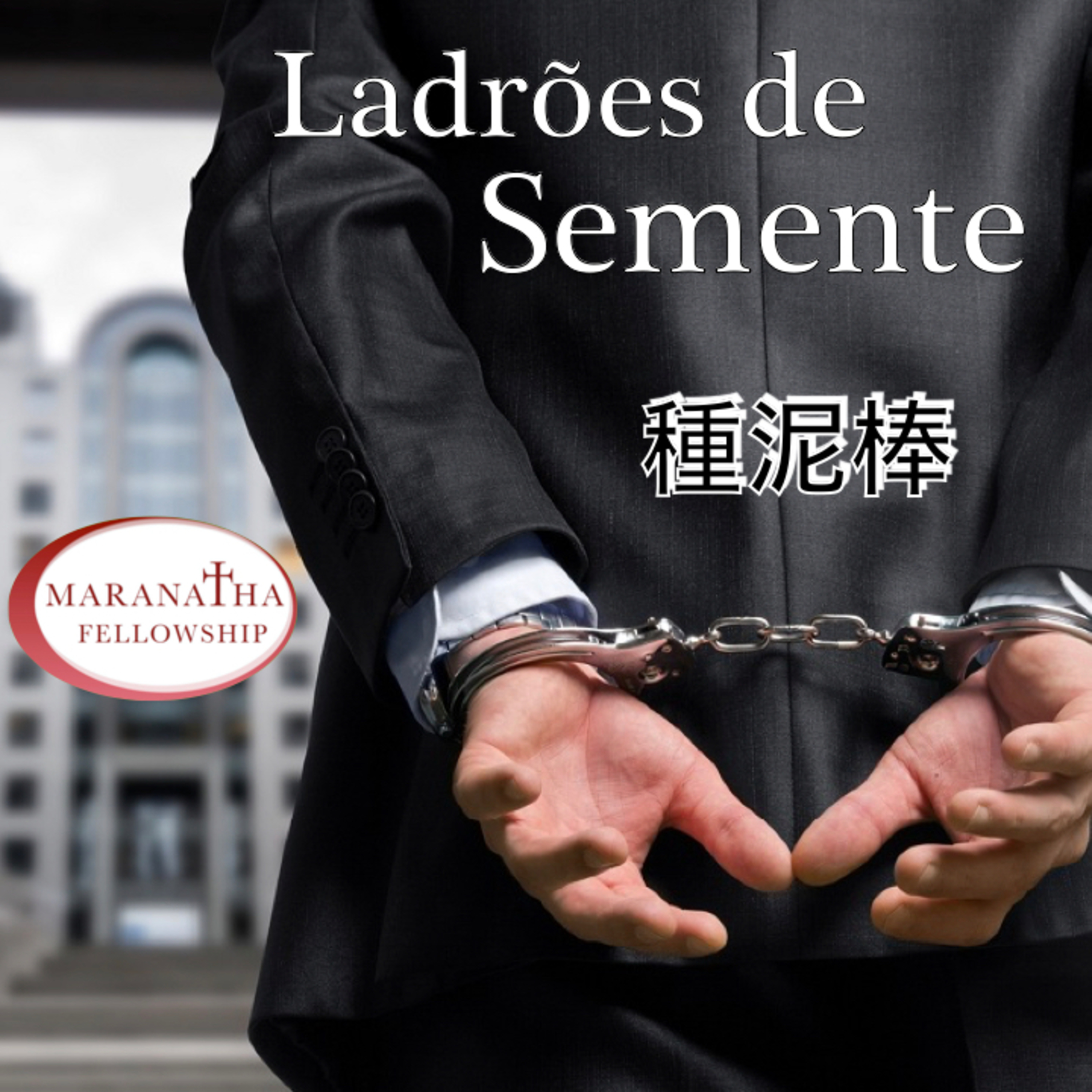 Ladrões de Sementes( 種泥棒) episode artwork
