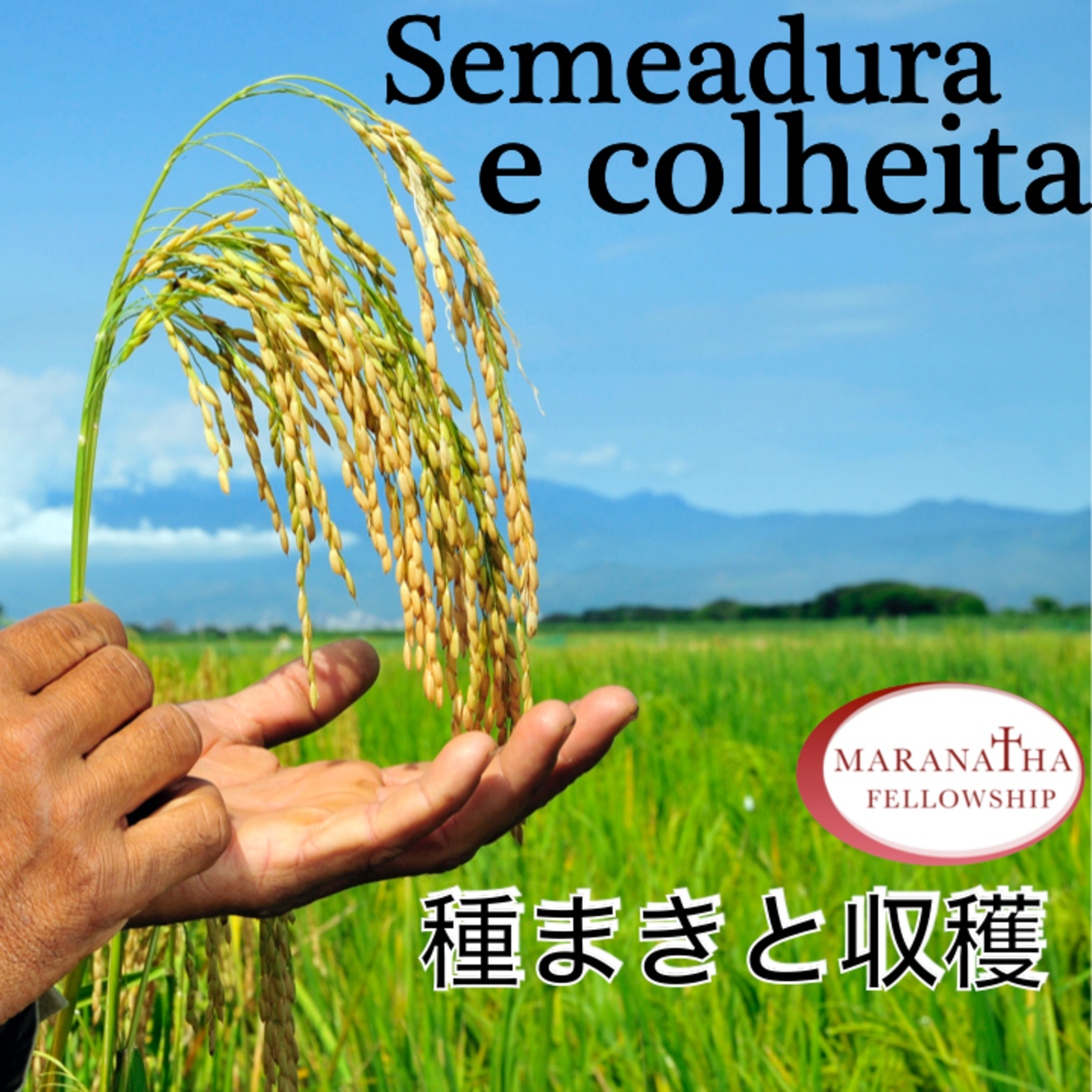 MFJ - Semeadura e colheita(種まきと収穫) episode artwork