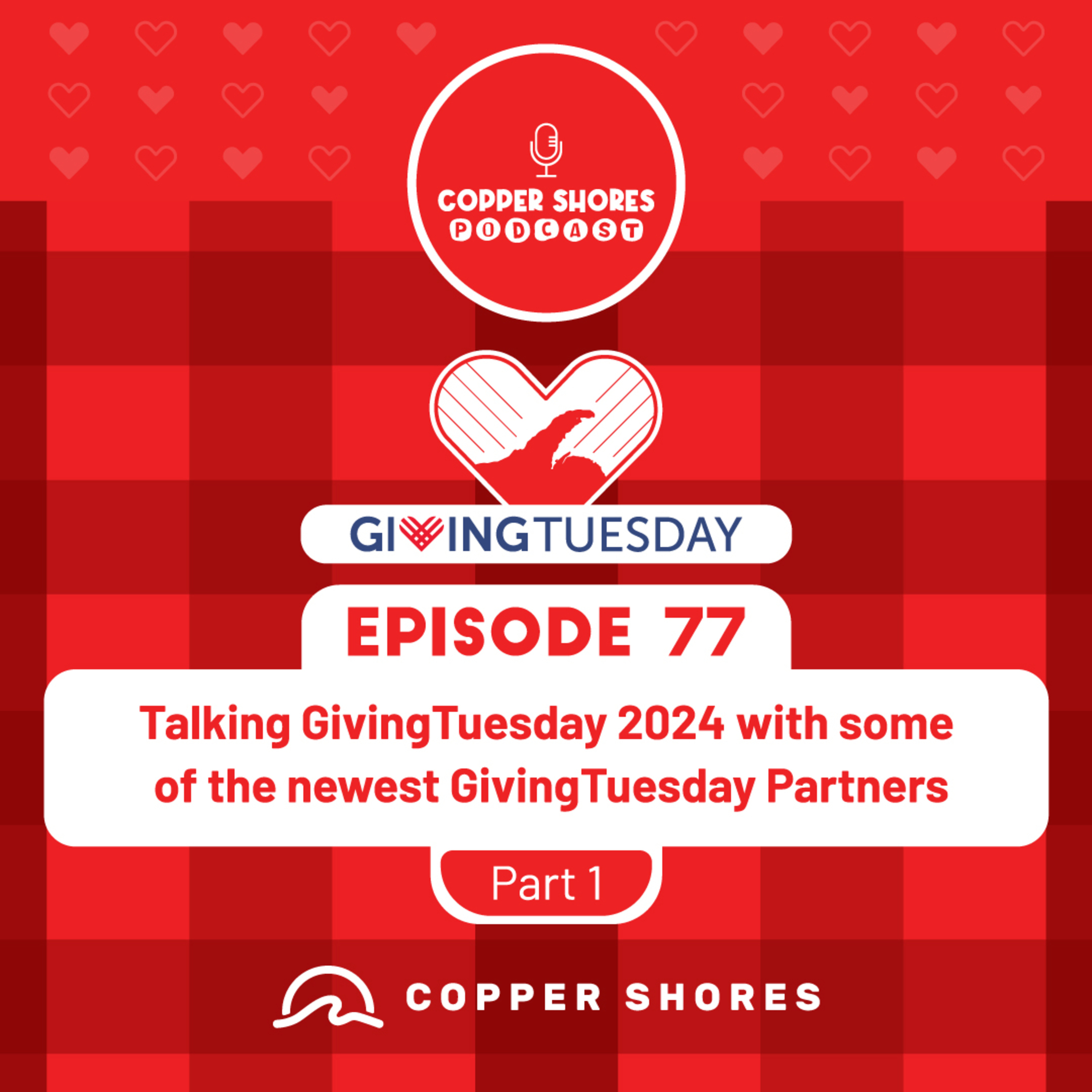 Talking GivingTuesday 2024 with some of the newest GivingTuesday Partners, part 1 episode artwork