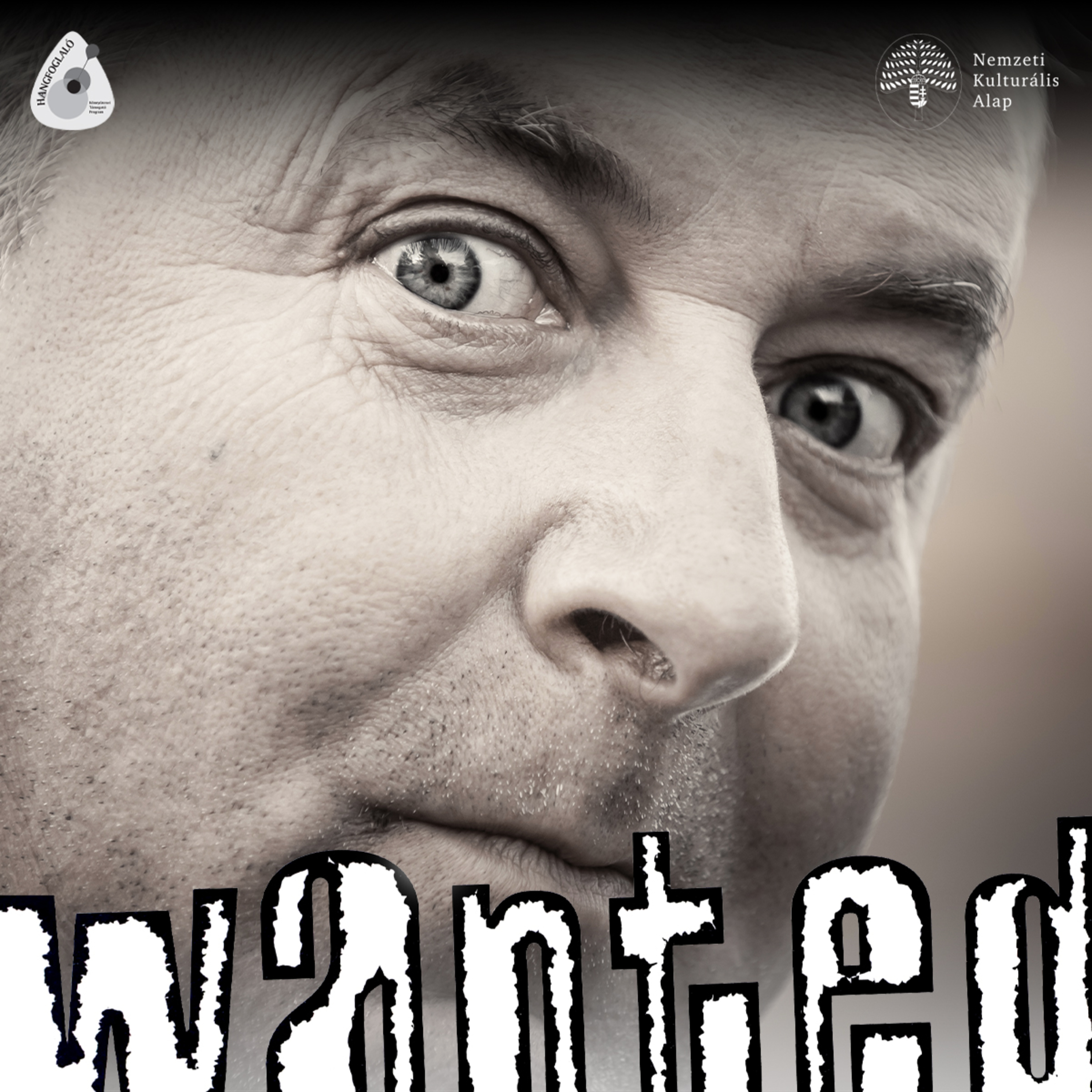 Wanted Podcast