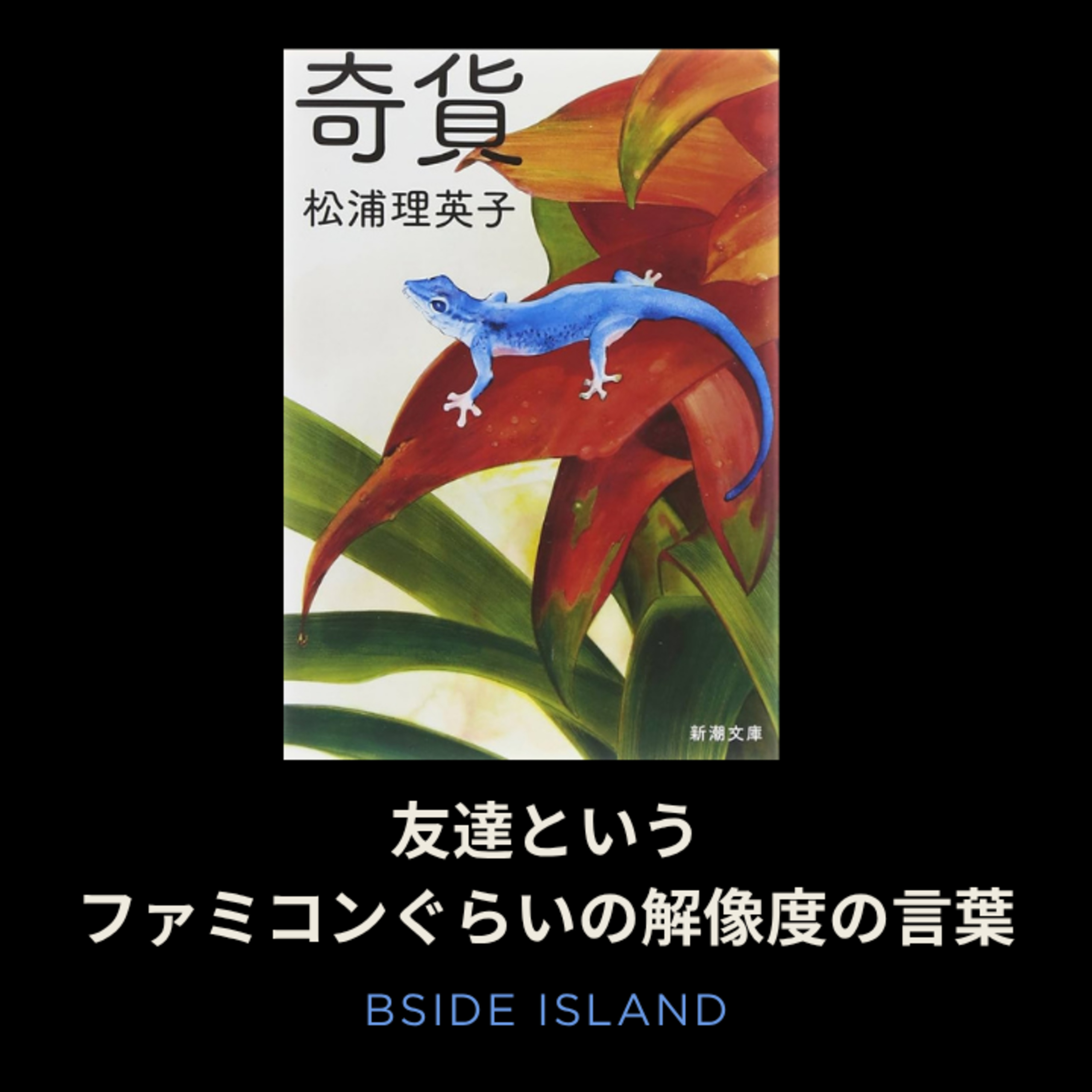 #232　信仰宗教に入信した近所の老夫婦と、友達に嫉妬するおっさんの話——松浦理英子を読んだ3月【B面アイランド】 episode artwork