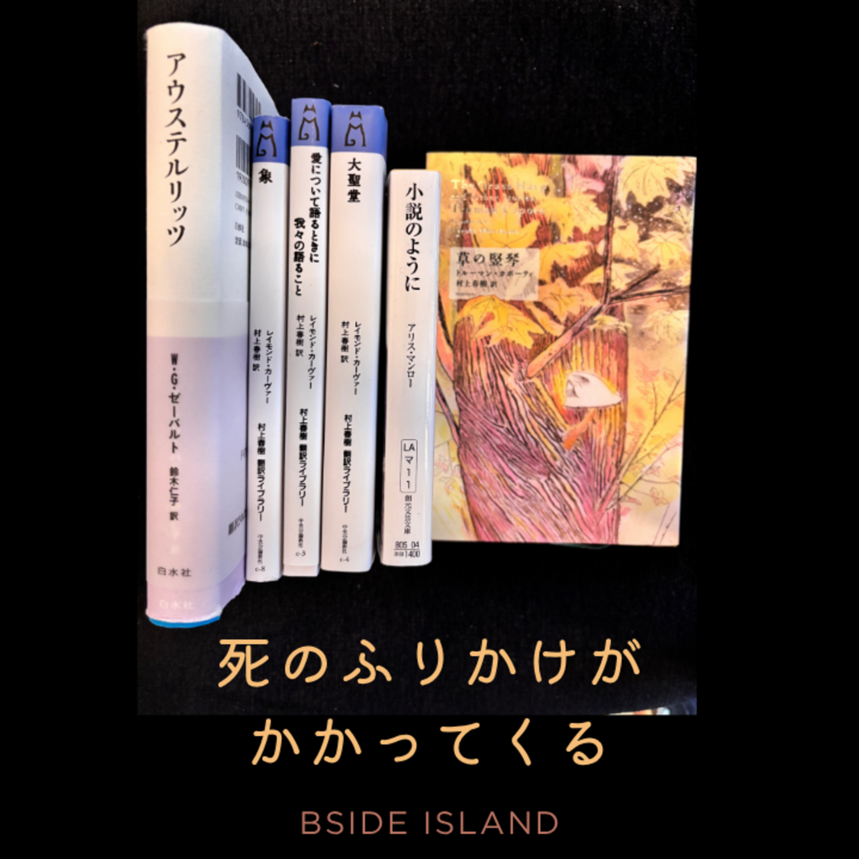 違法な職場で働きながらレイモンド・カーヴァーとアリス・マンローとカポーティを読んでいる話【B面アイランド】　#253 episode artwork