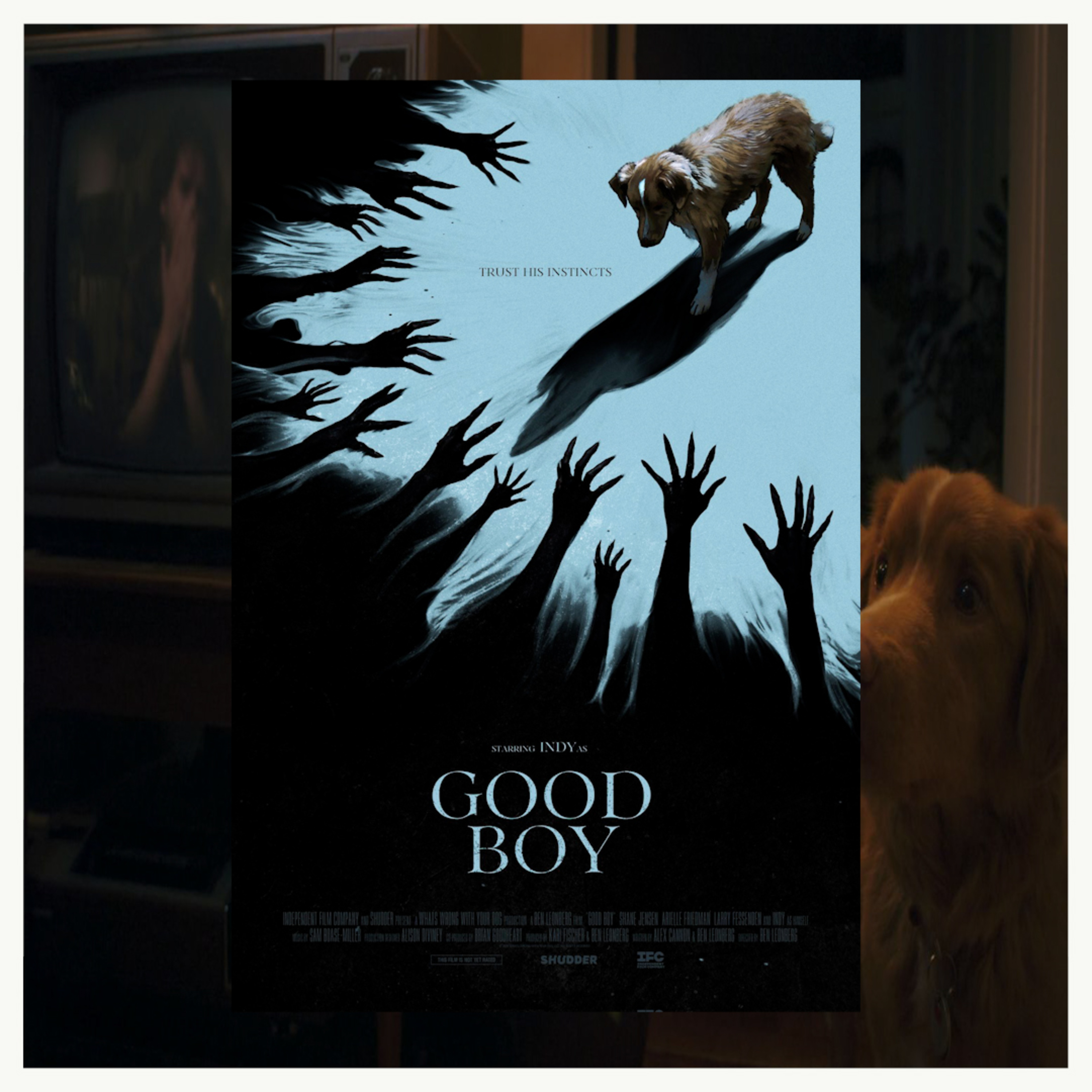 #596: Just Okay Boy (“Good Boy”) episode artwork