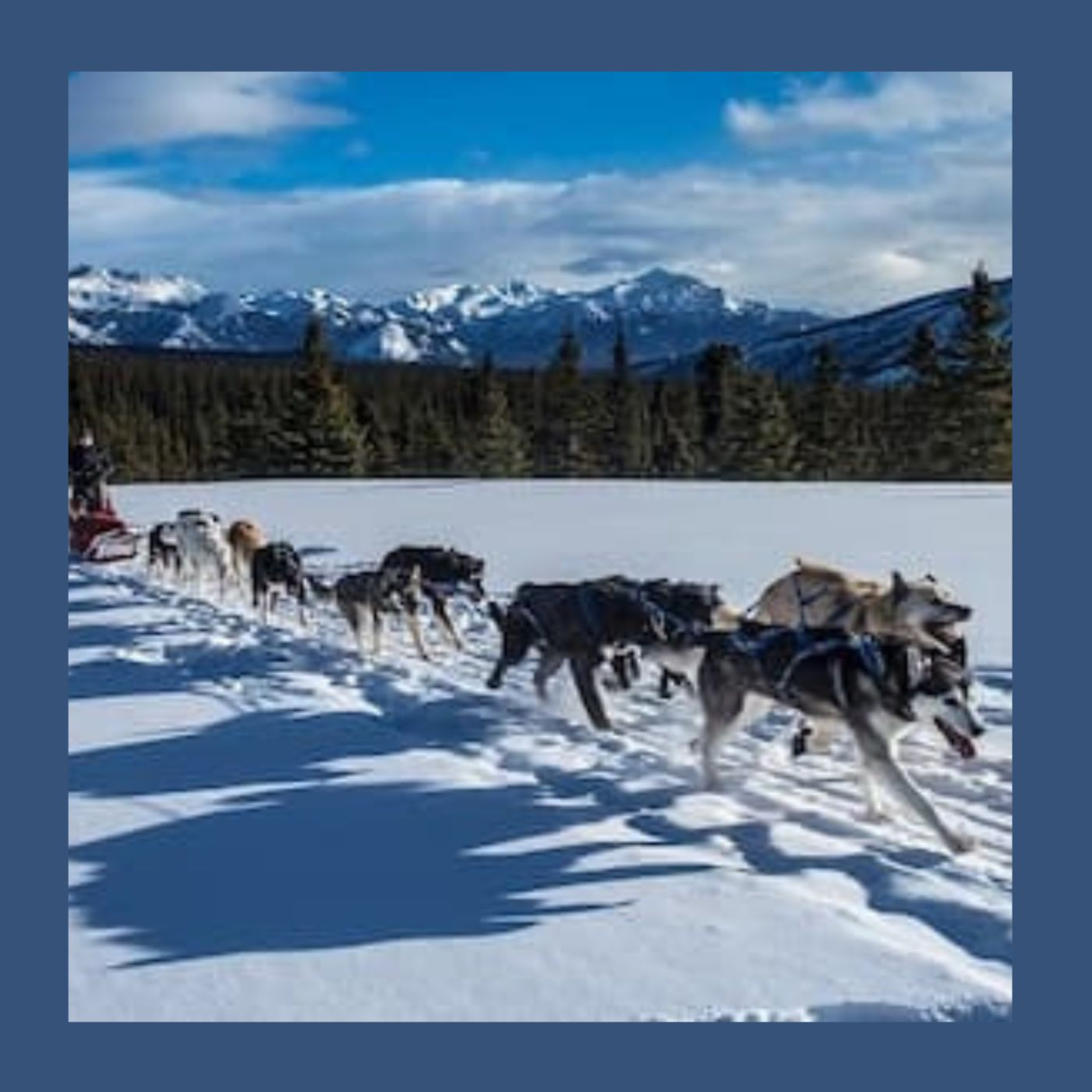 “Take the Dog Sled” de Alexina Louie, um musical Iditarod para cantores guturais e conjunto Inuit