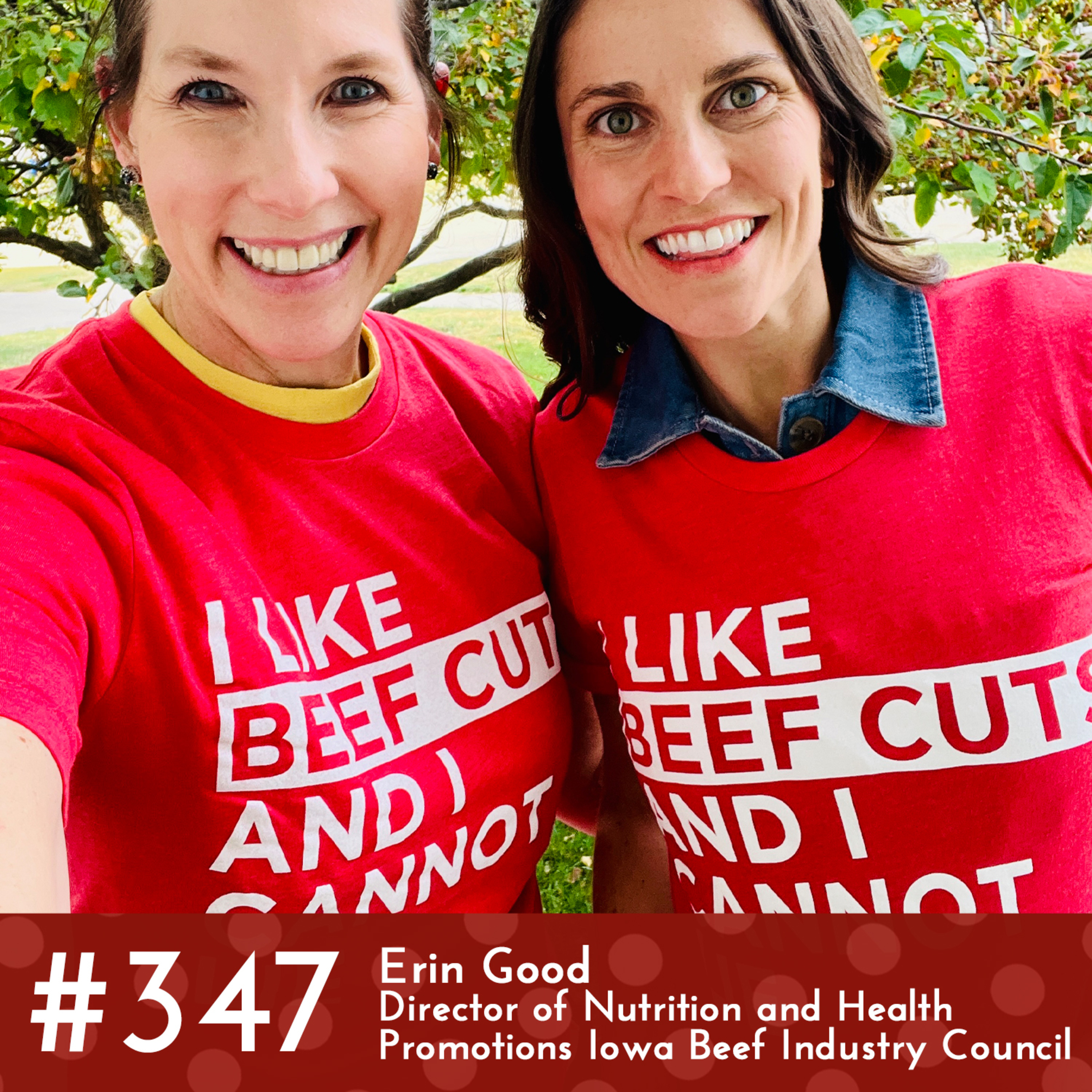 #347 - Erin Good, Director of Nutrition and Health Promotions, Iowa Beef Industry Council episode artwork