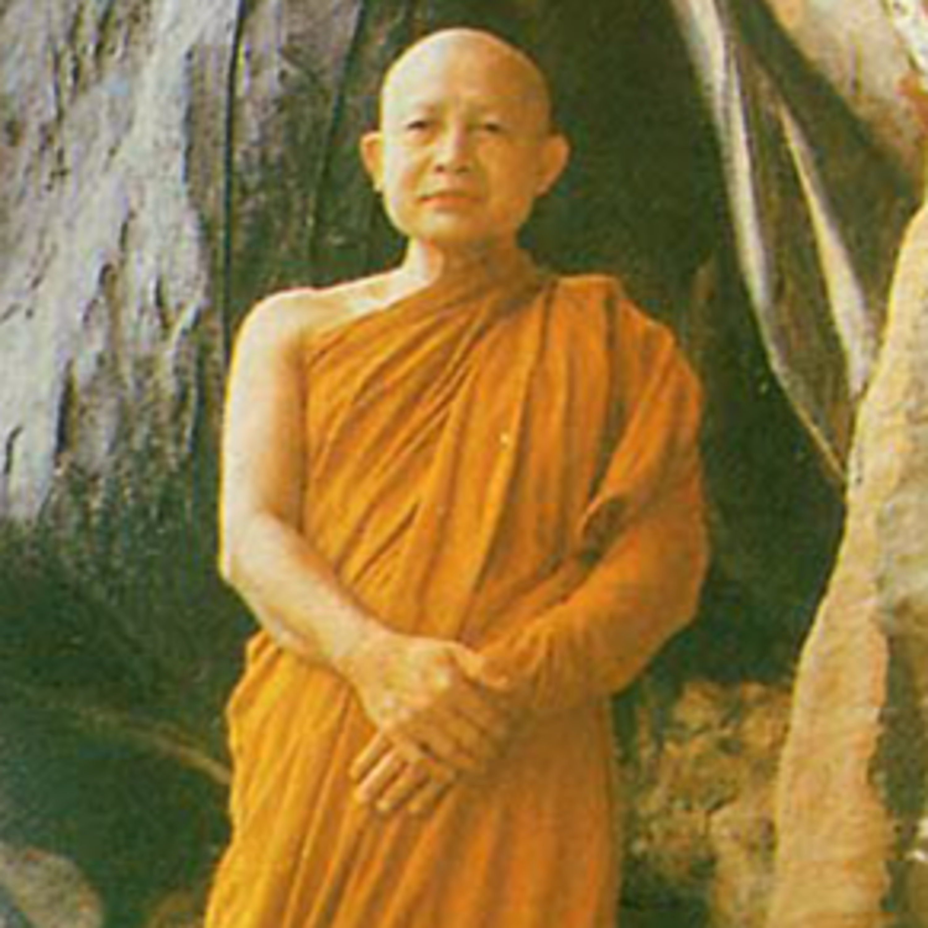 พระศรีธรรมาโศกราช - พระอาจารย์จวน กุลเชฎโฐ  (00.58.47)