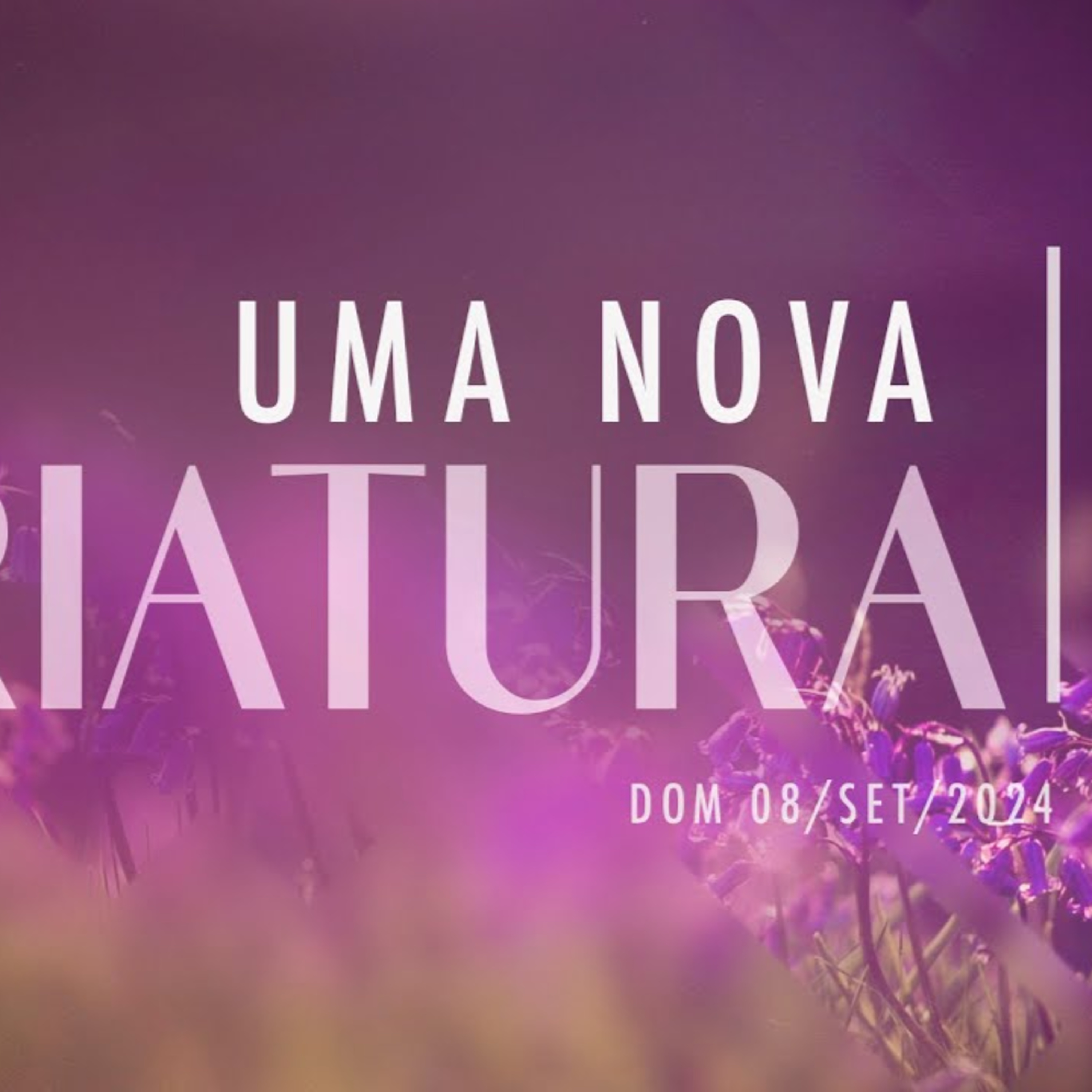 Uma nova criatura | Palavra de Vida e Fé