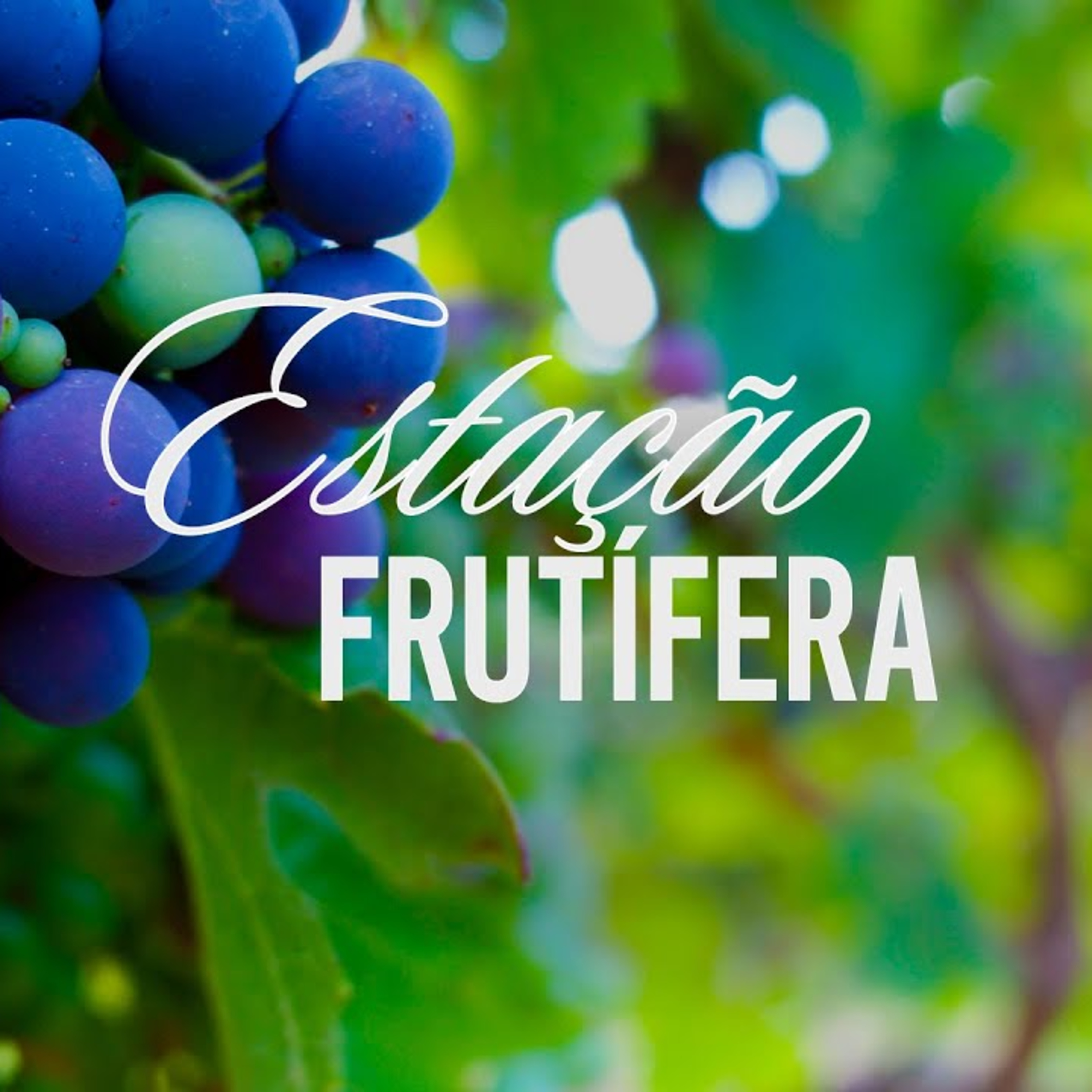 Estação frutífera | Palavra de Vida e Fé