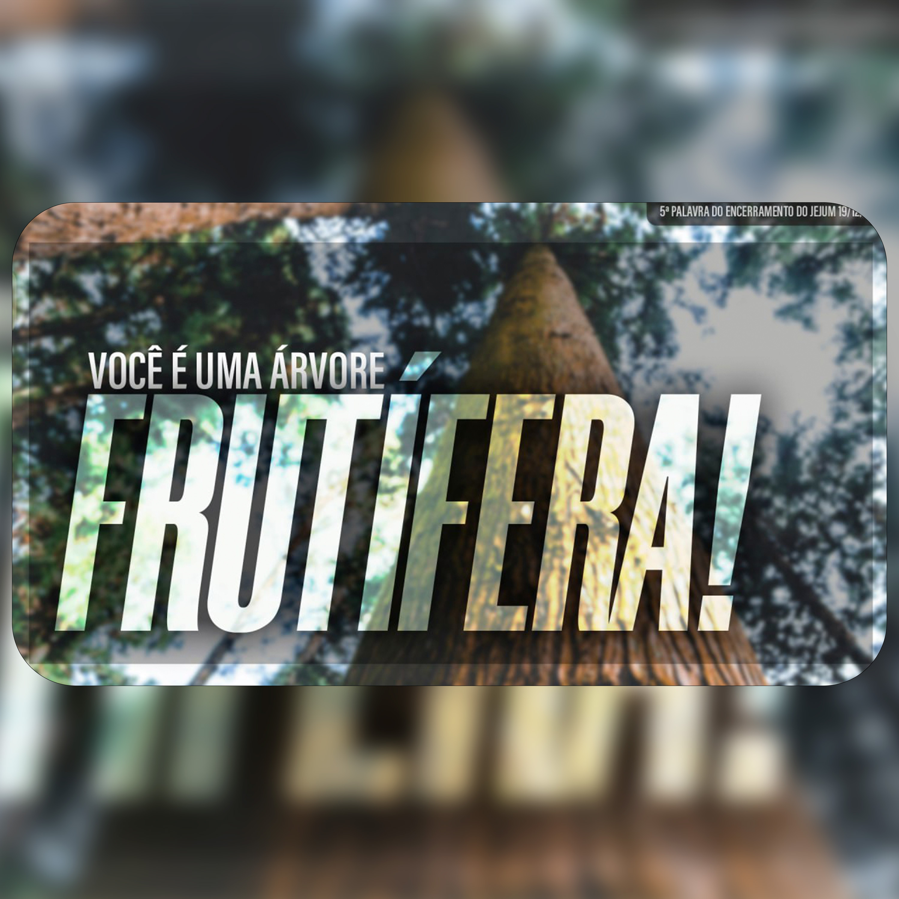 Você é uma árvore frutífera! | 5ª Palavra do Encerramento do Jejum - 19/12/2025 episode artwork