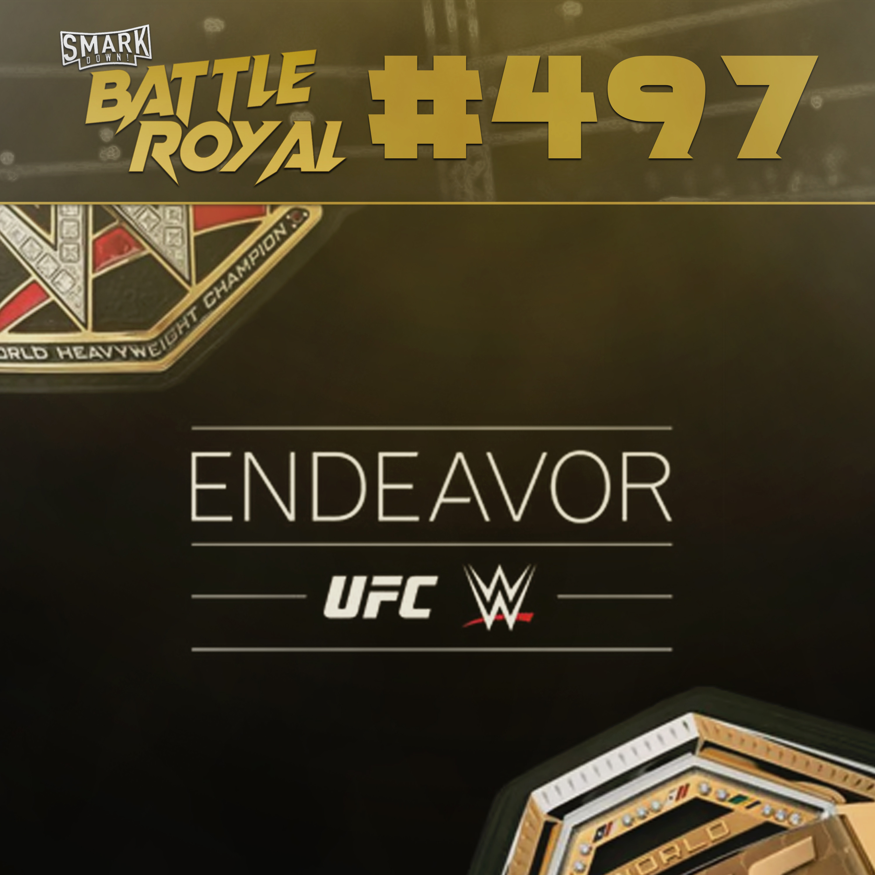 Battle Royal #497 episode artwork