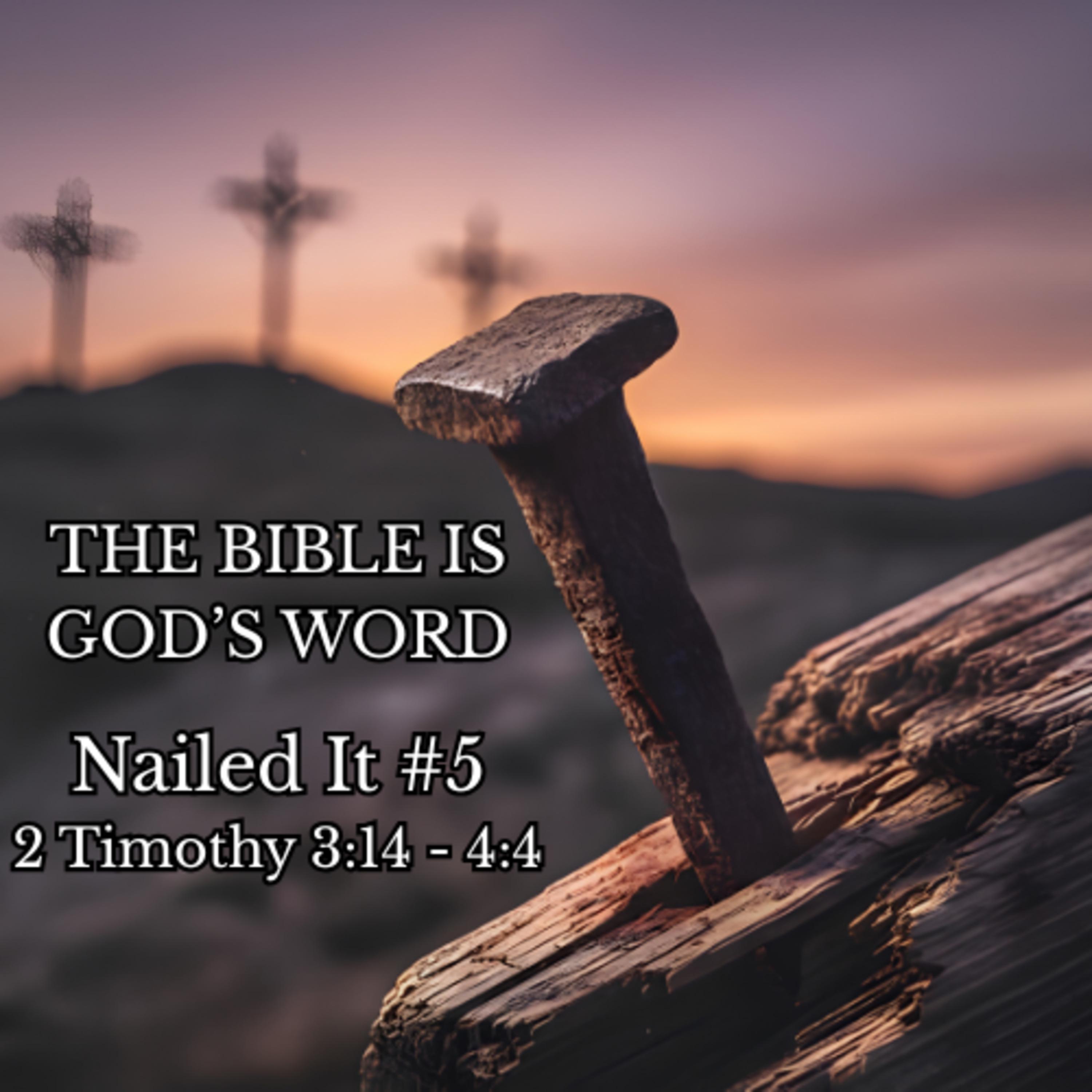 THE BIBLE IS GOD'S WORD (NAILED IT #5) - DR. JEFF BURRIS episode artwork