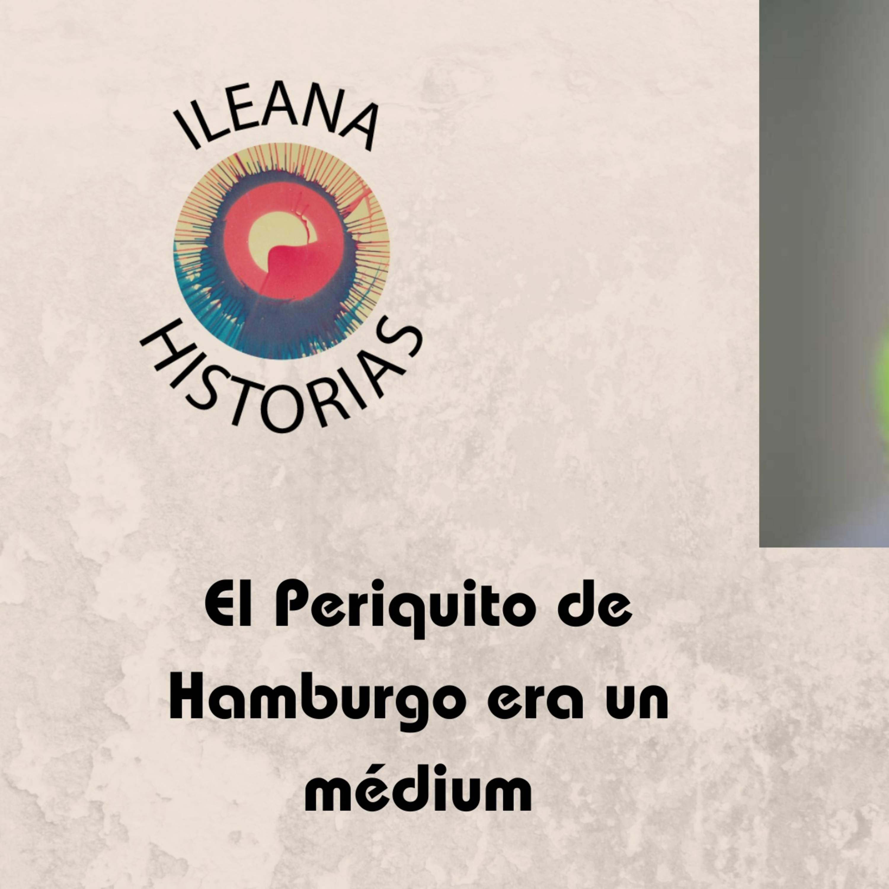 El Periquito de Hamburgo (218)
