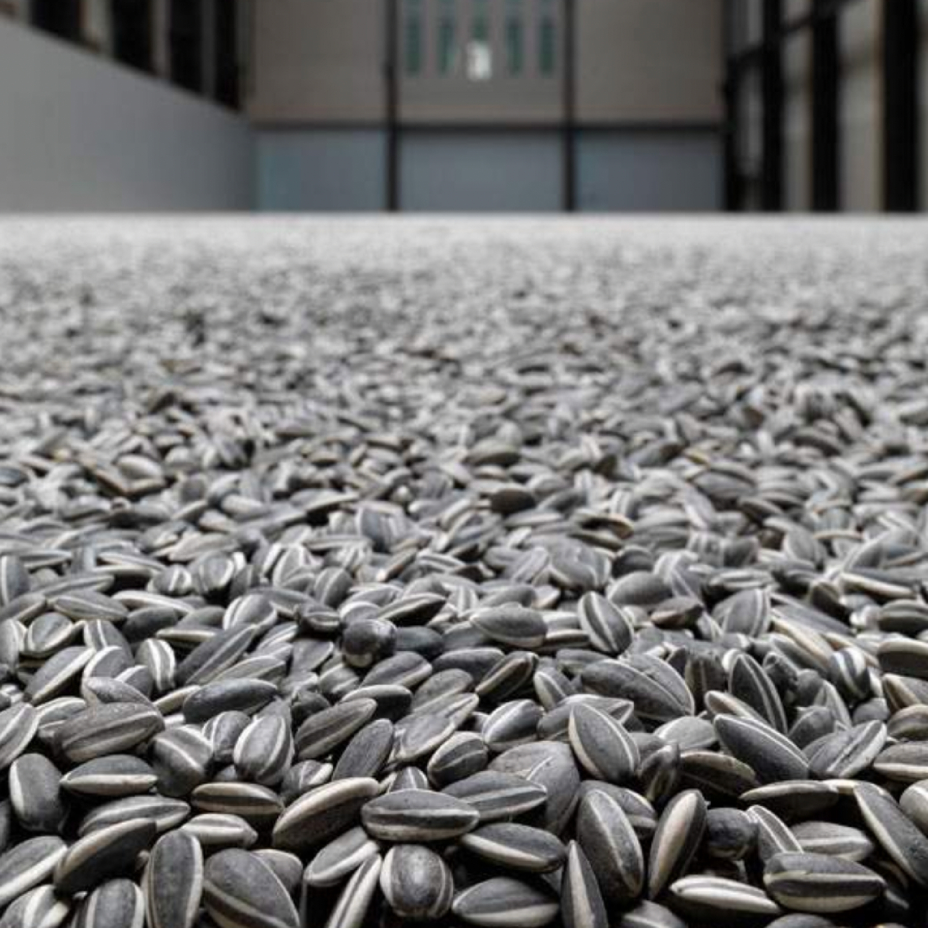 Ai Wei Wei's Sunflower Seeds (Bite-Size Episode)