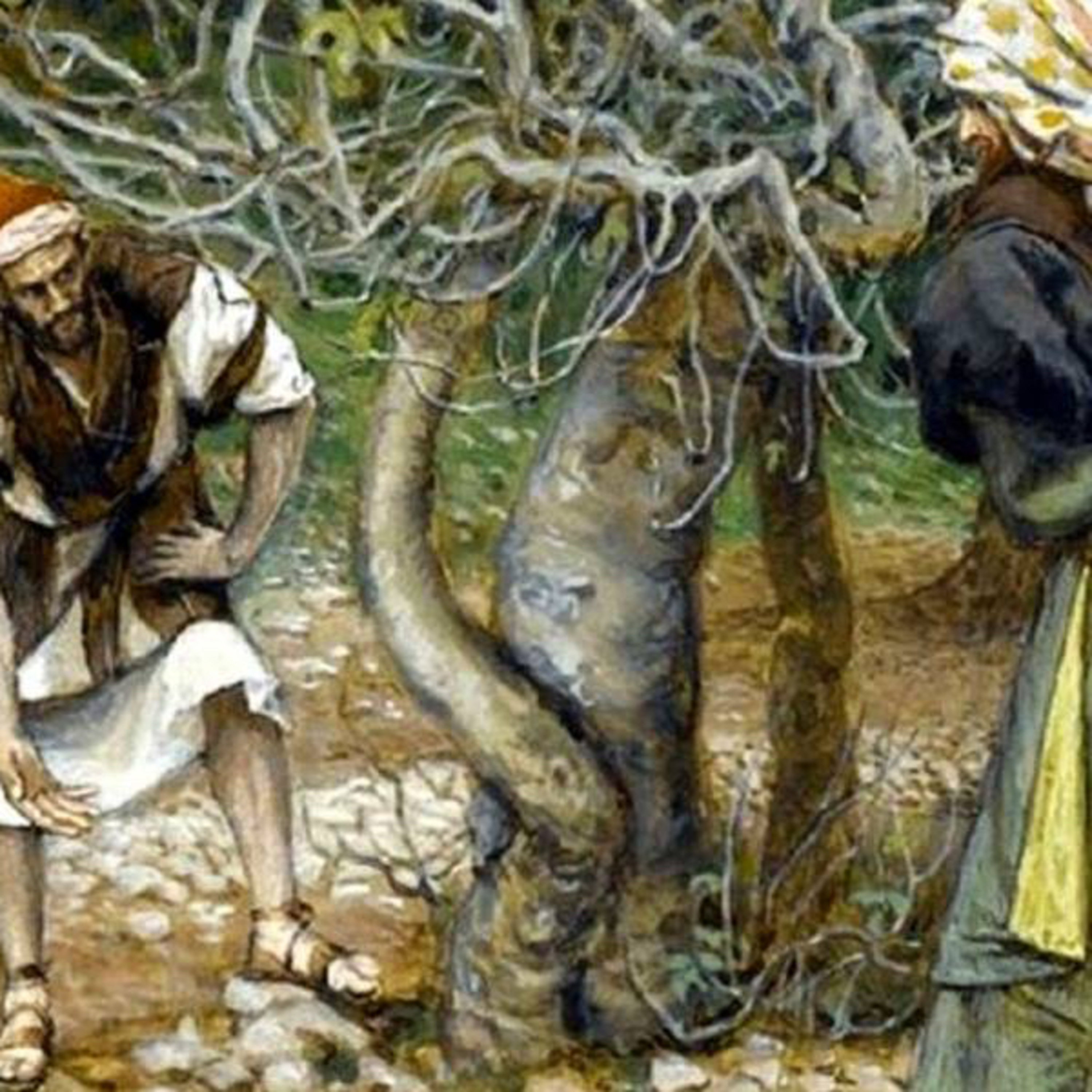 Evangelio del Sábado 26 de Octubre. Lucas 13,1-9