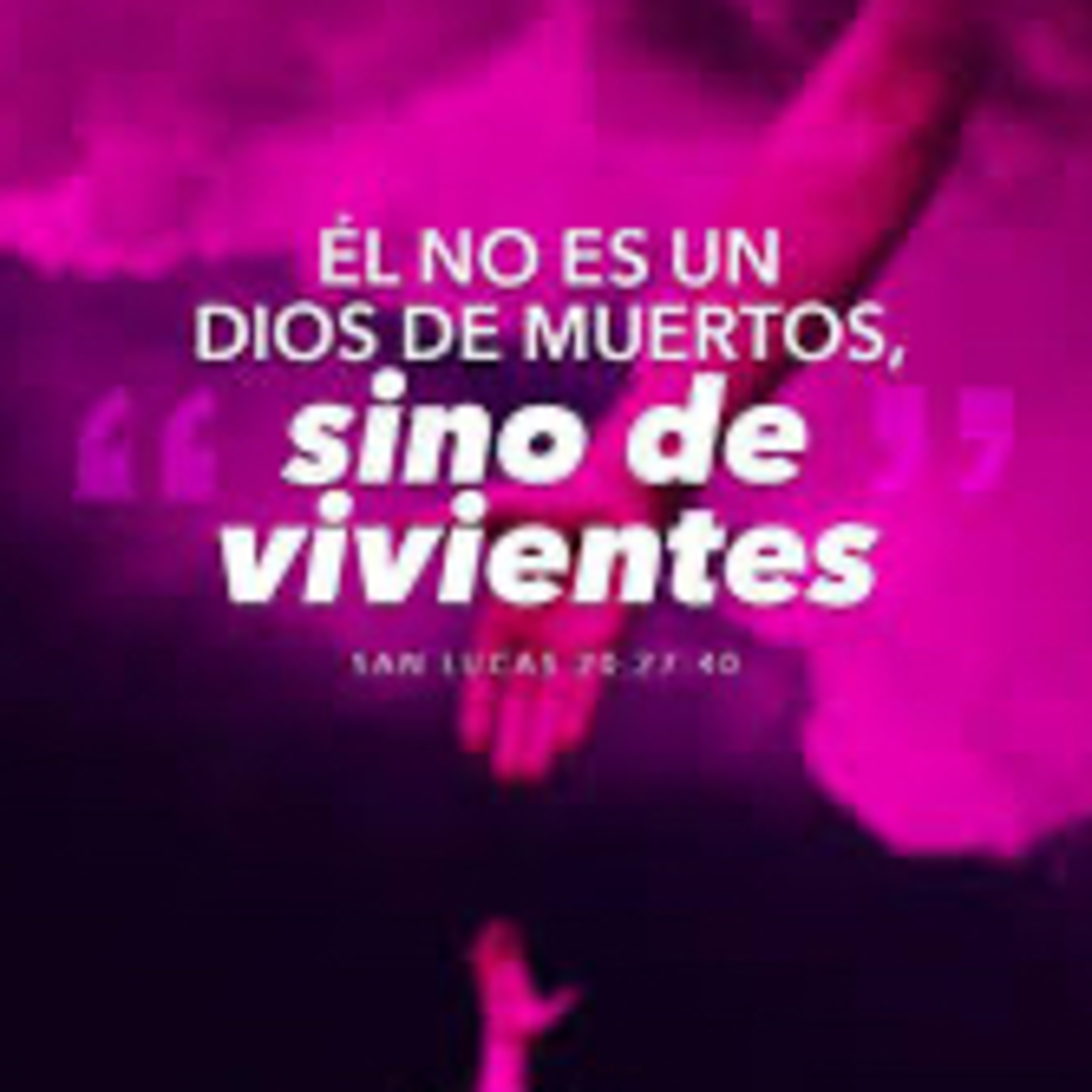 Evangelio del sábado 23 de noviembre. Lucas 20,27-40.