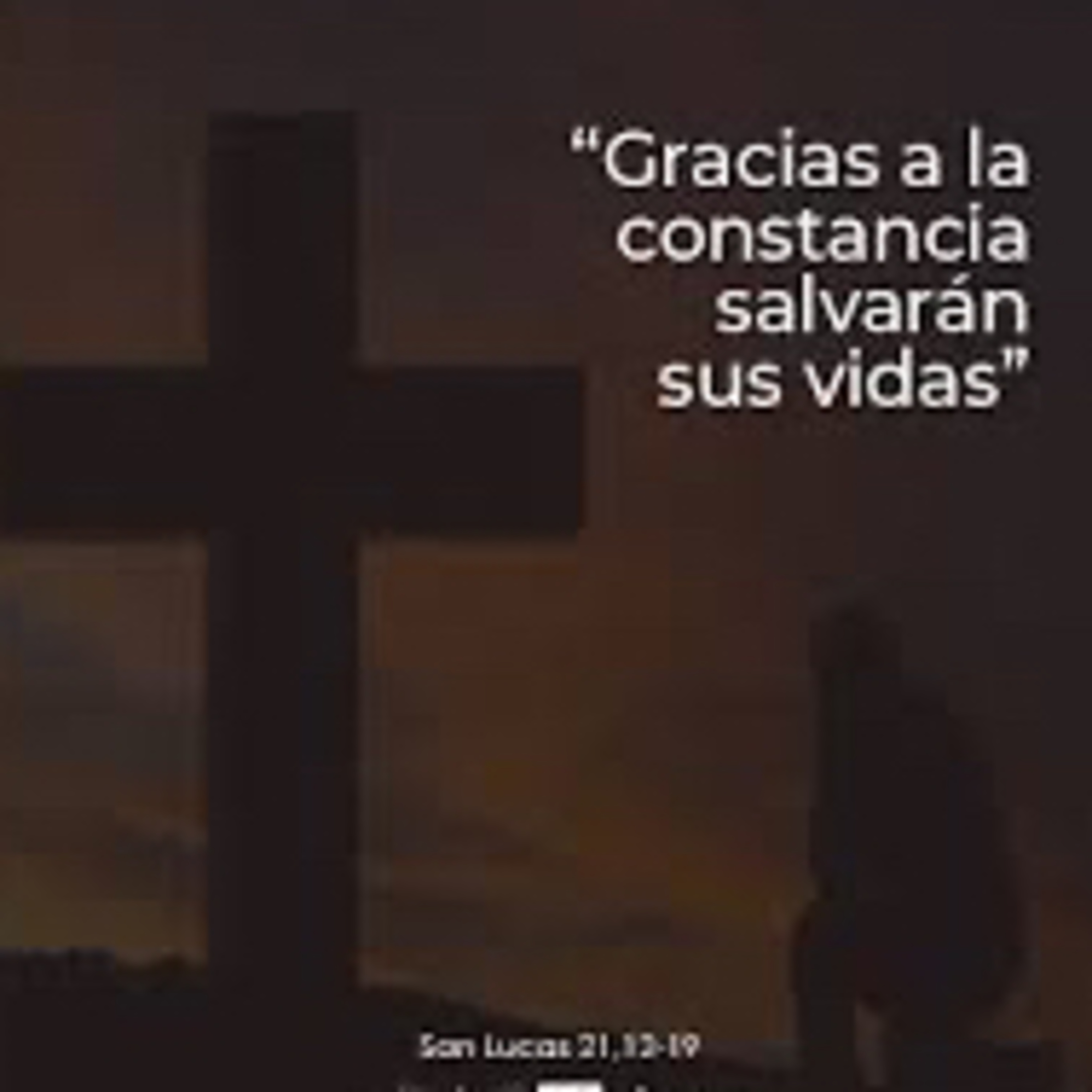 Evangelio del Miércoles 27 de Noviembre. Lucas 21,12-19